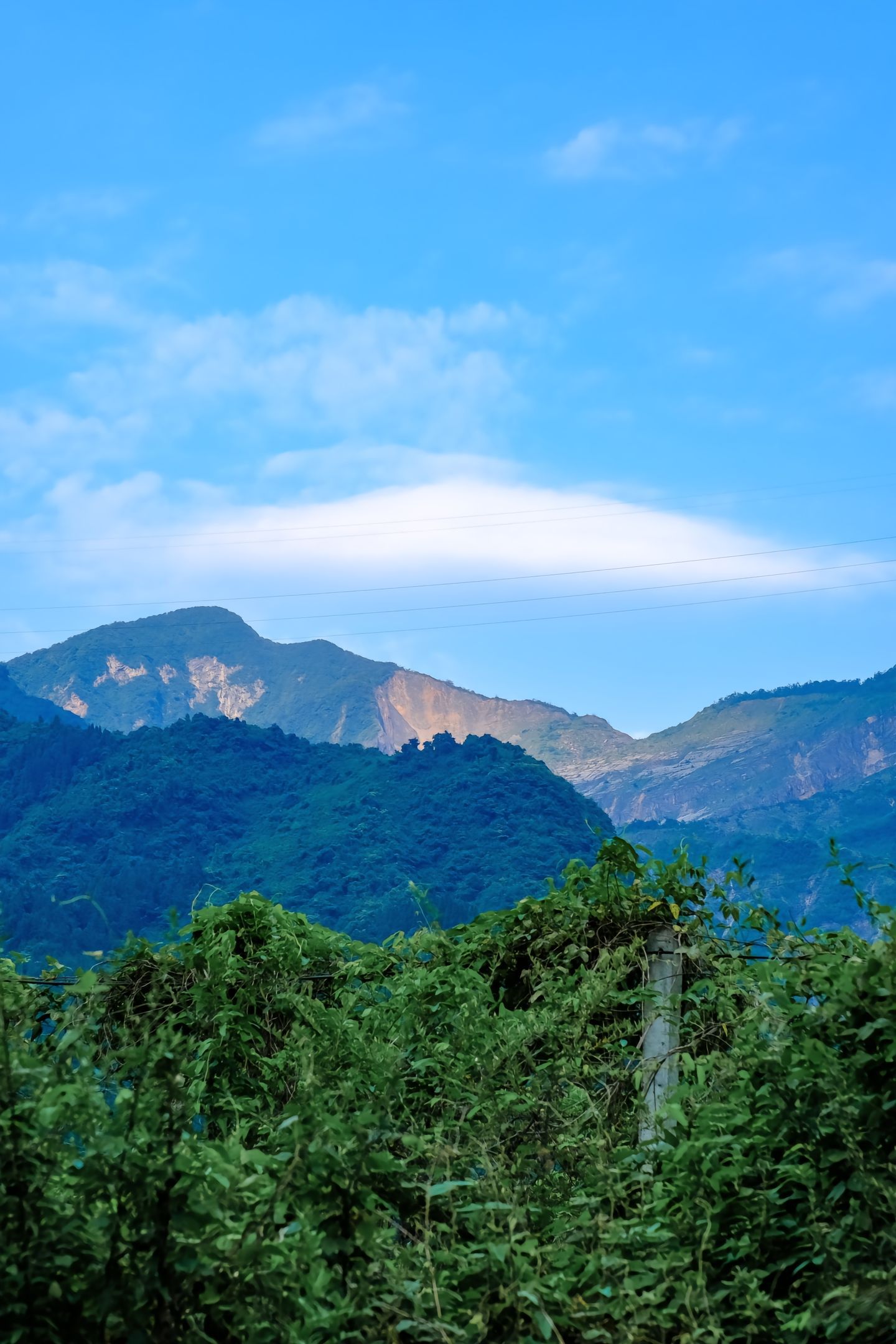 金色清平景区旅行图片 3