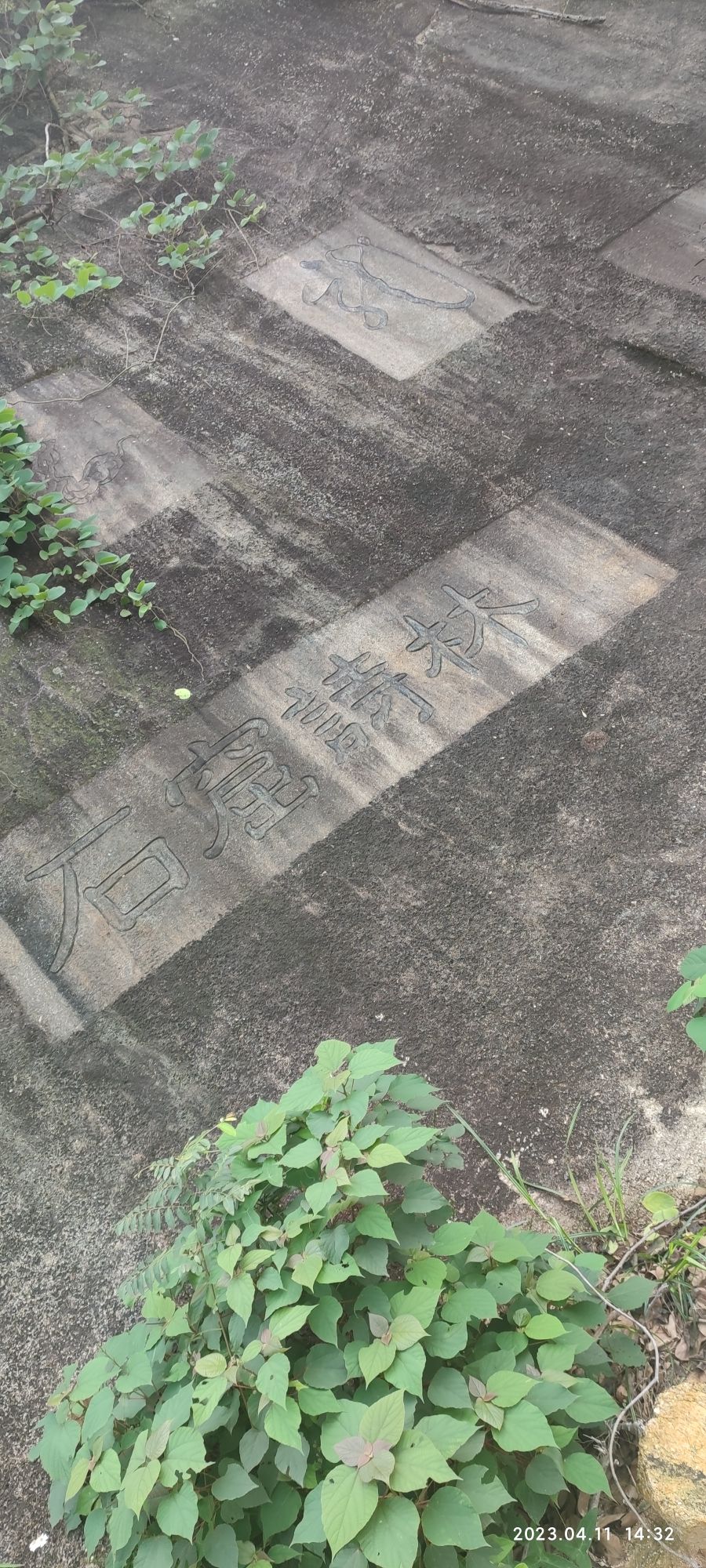 康洞森林公园旅行图片 1