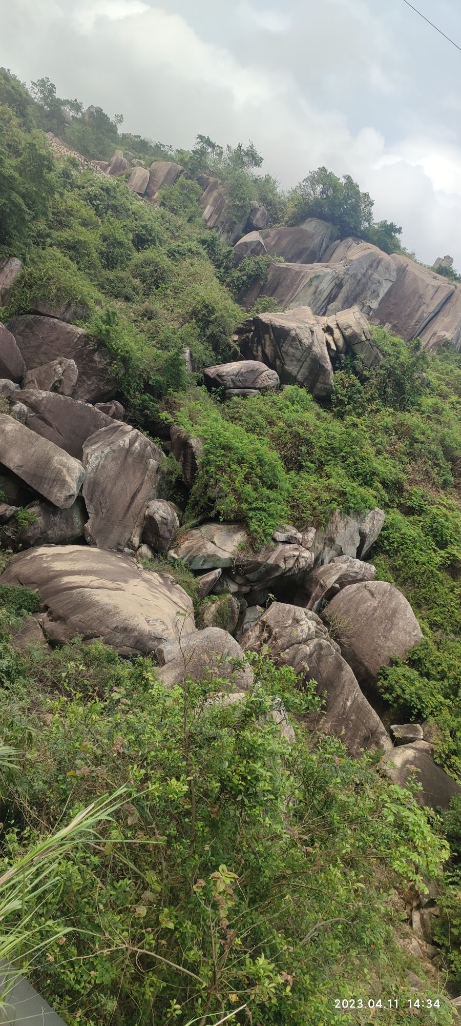 康洞森林公园旅行图片 2