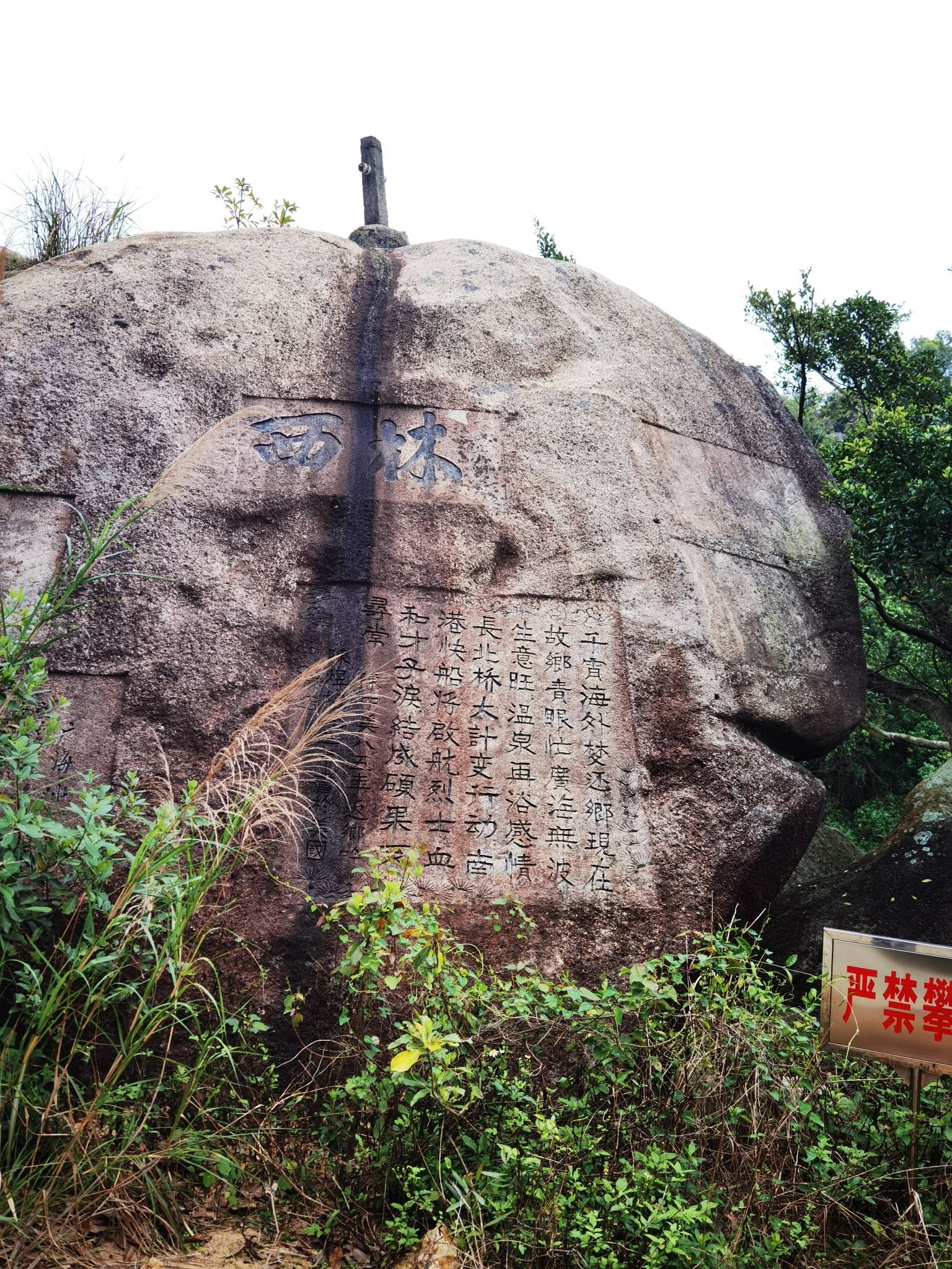 康洞森林公园旅行图片 2