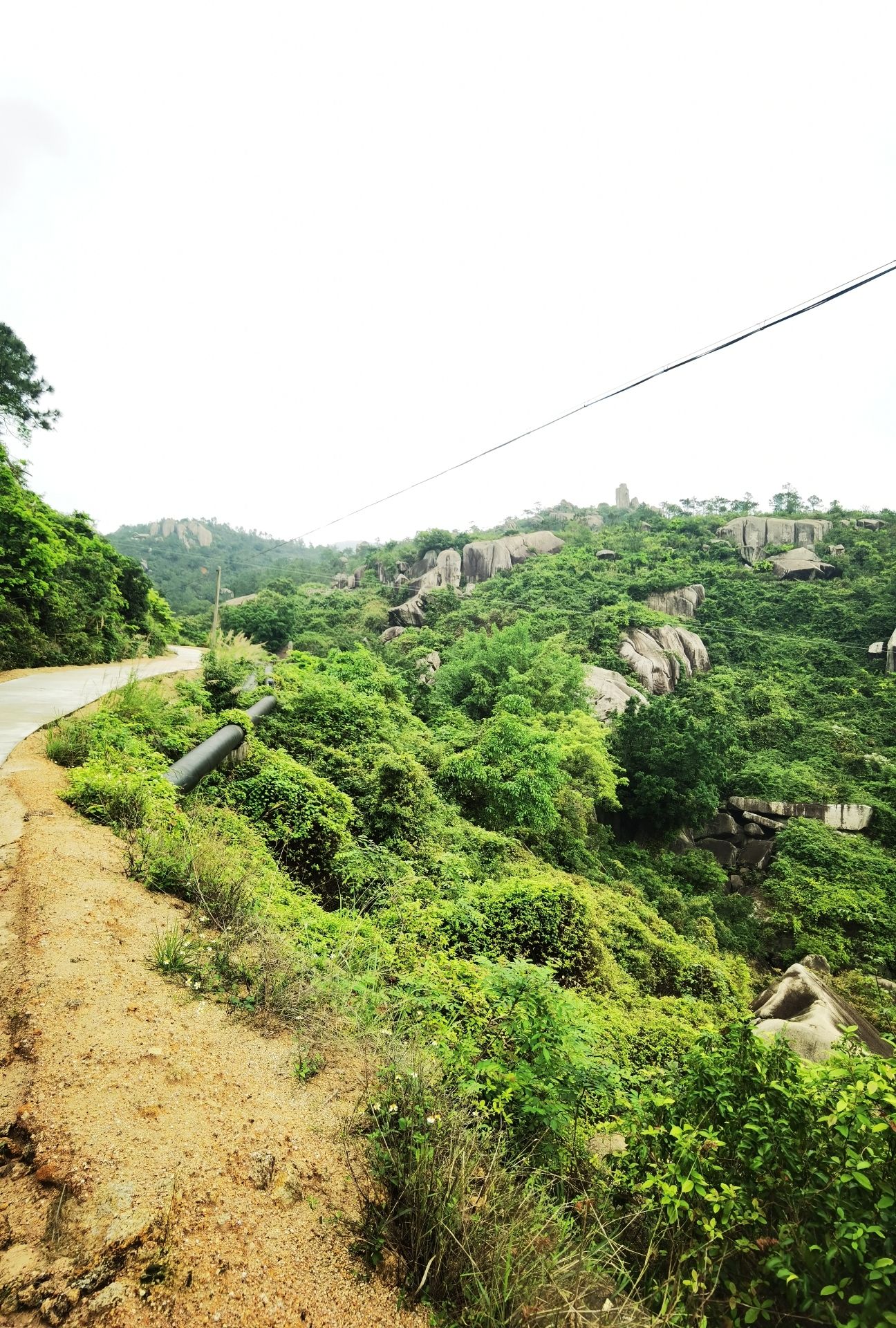 康洞森林公园旅行图片 3