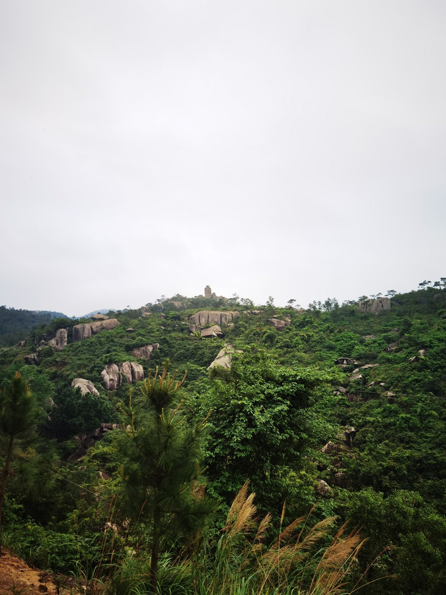 康洞森林公园旅行图片 1