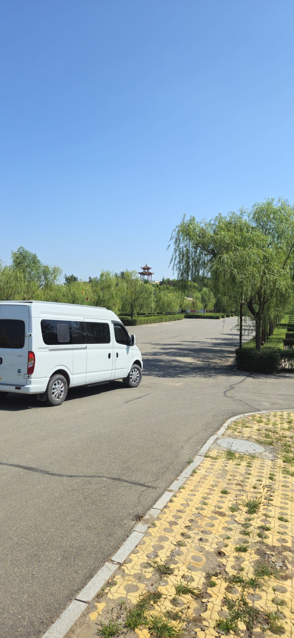 葵花公园旅行图片 3