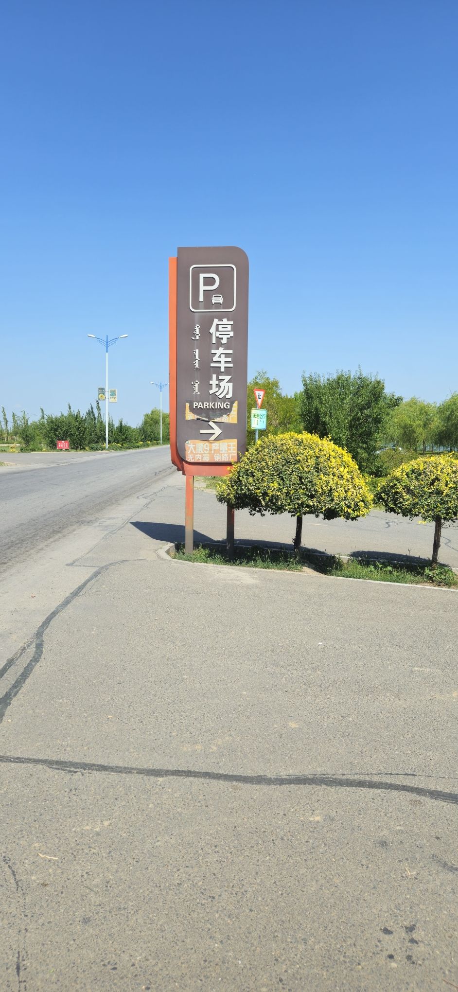 葵花公园旅行图片 2