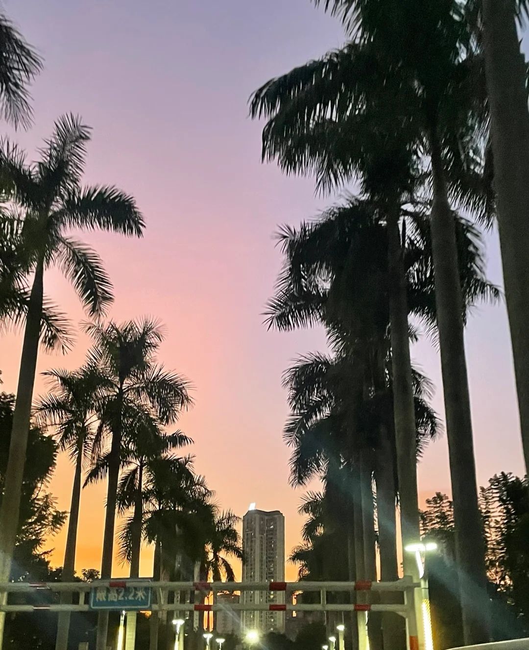 漳州大学城