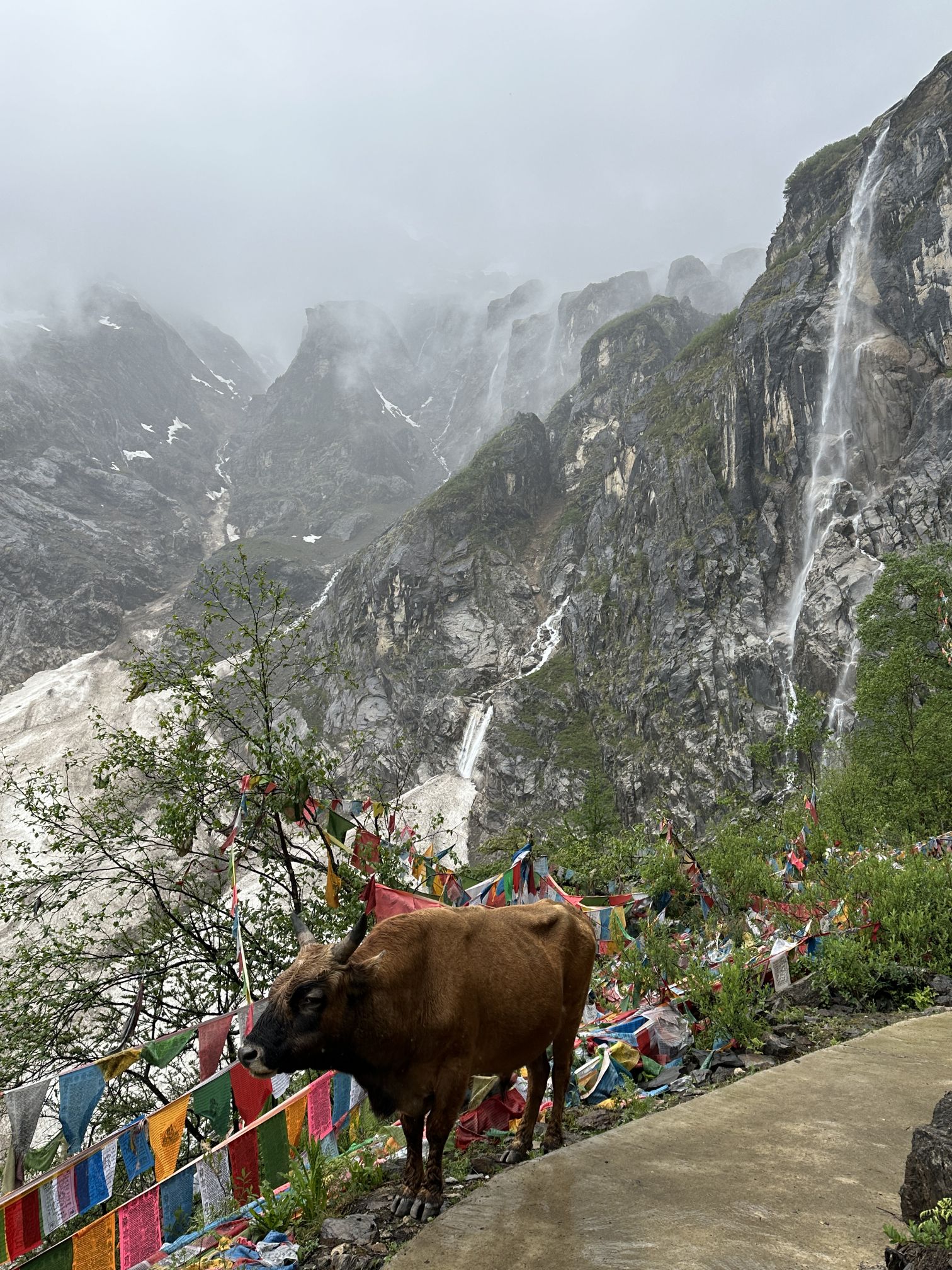 雨崩景区-神瀑