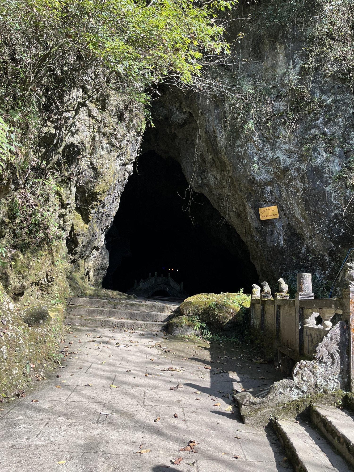 五龙溶洞旅行图片 3