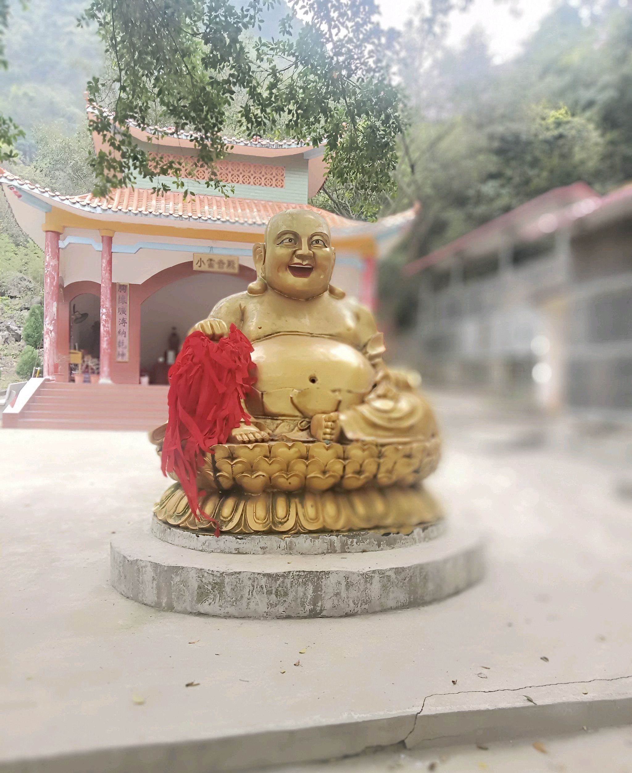 六五寺风景区旅行图片 3