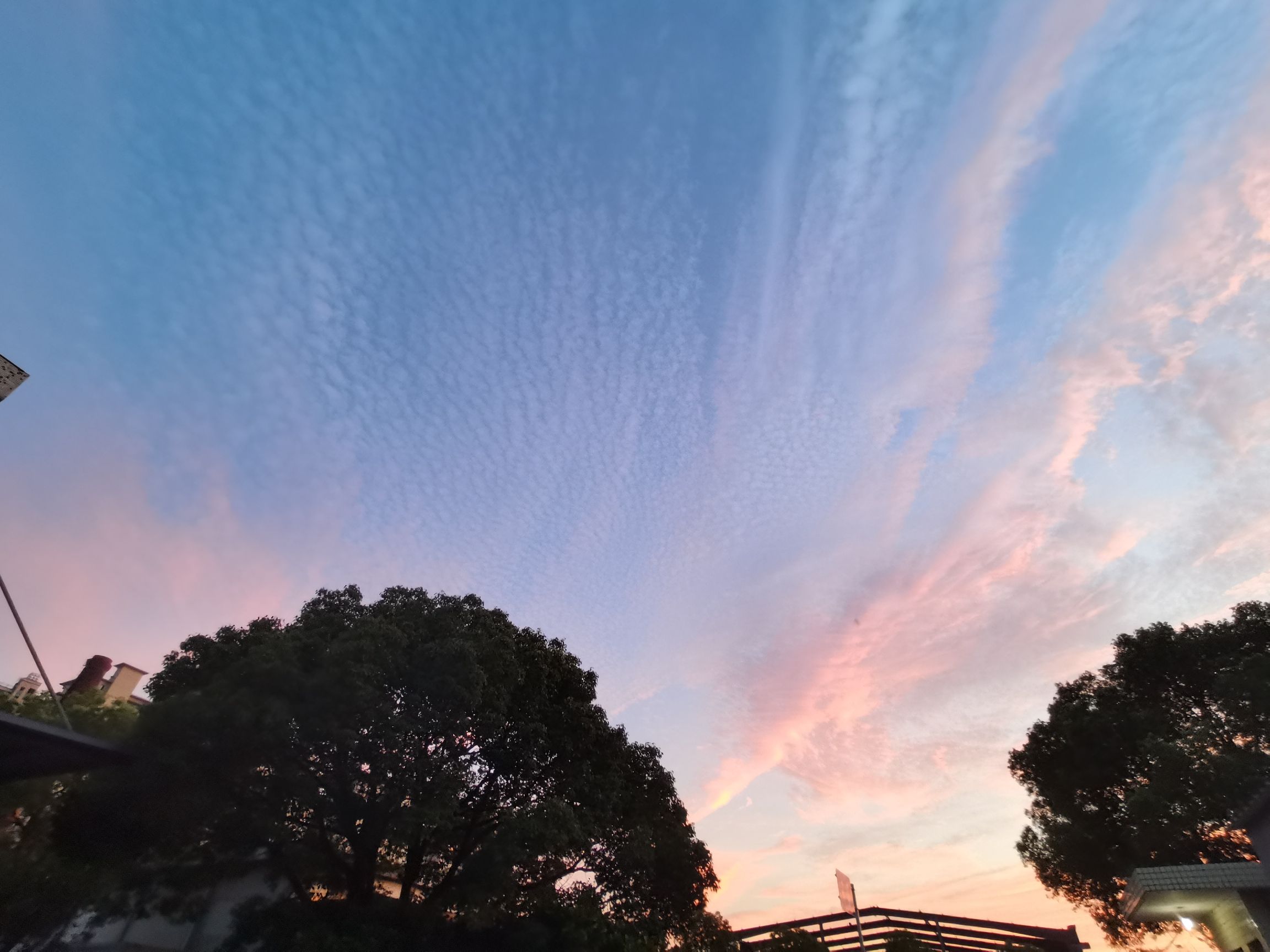 斜桥站花园旅行图片 2