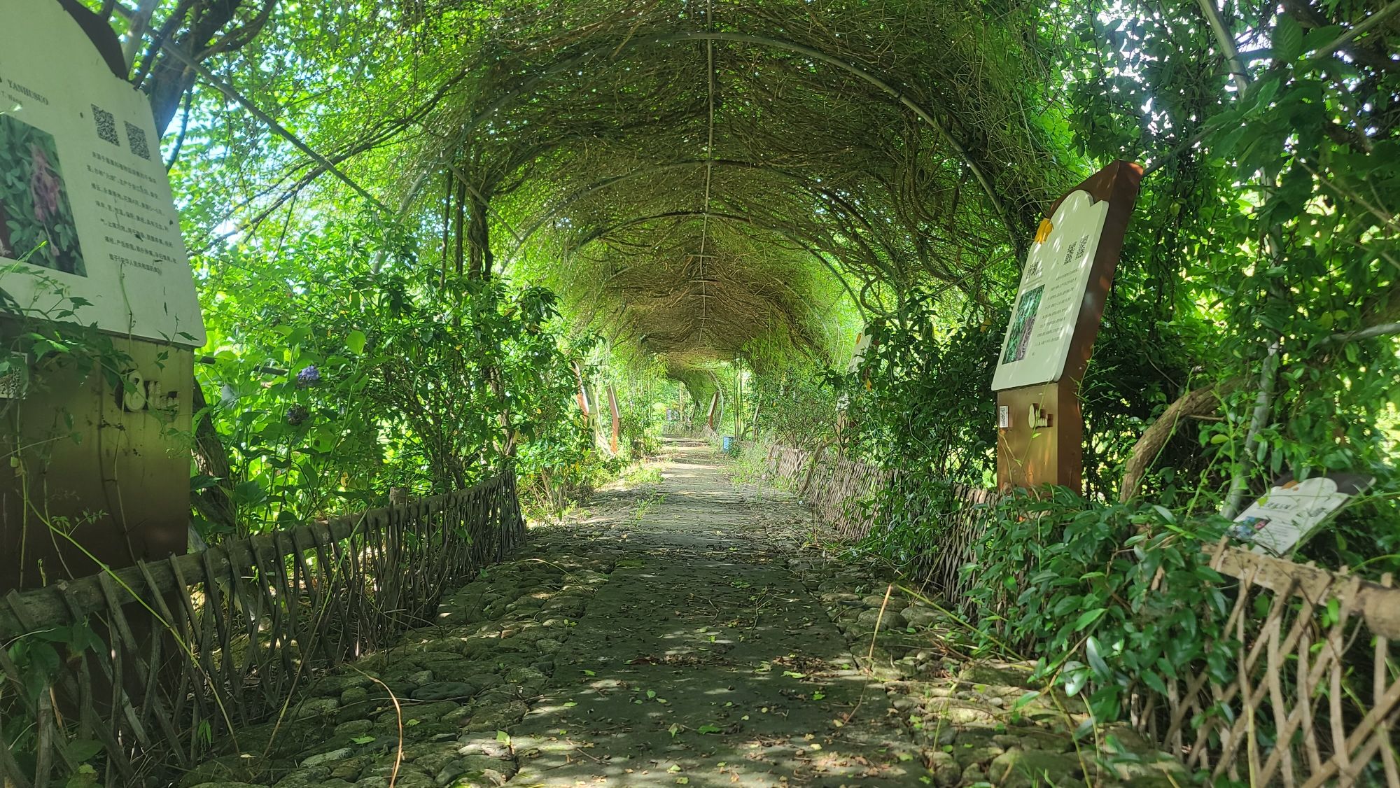 浙江省黄岩药用植物园旅行图片 2