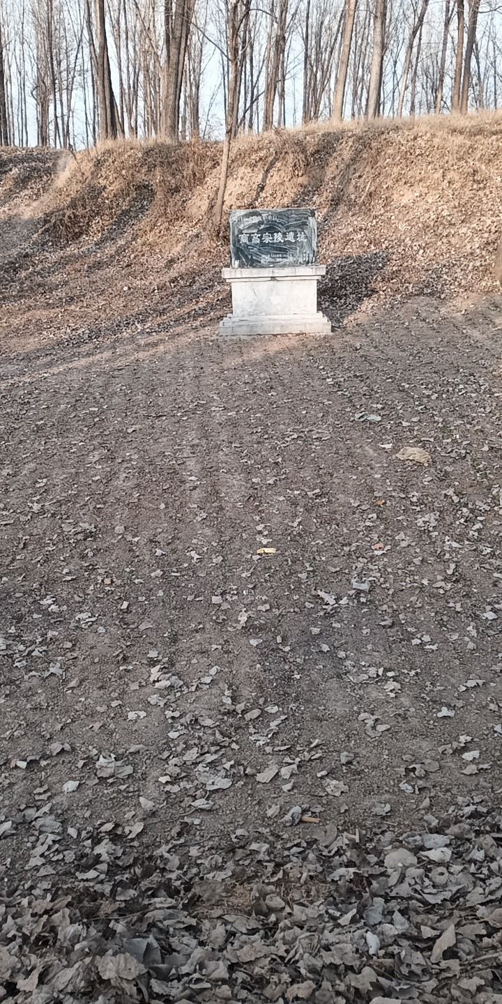 商高宗武丁陵旅行图片 2