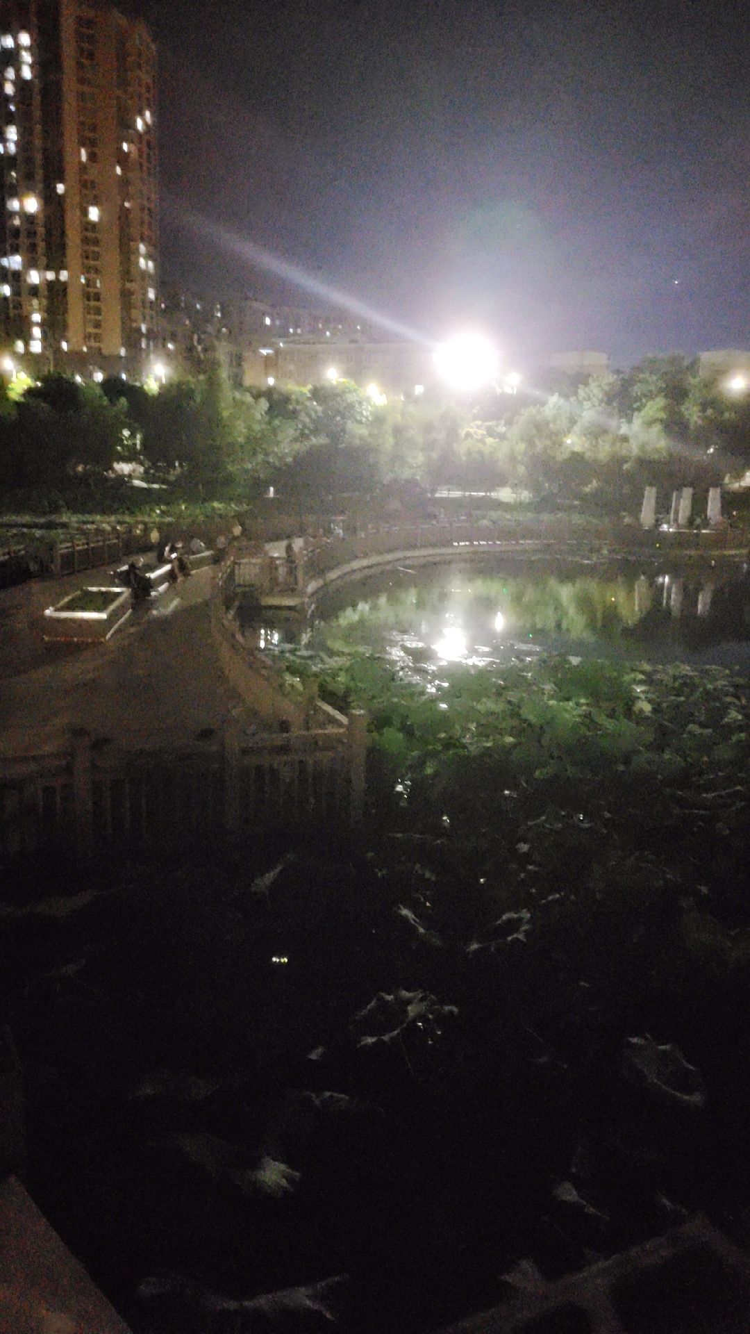 南湖公园-南塔山生态公园旅行图片 3