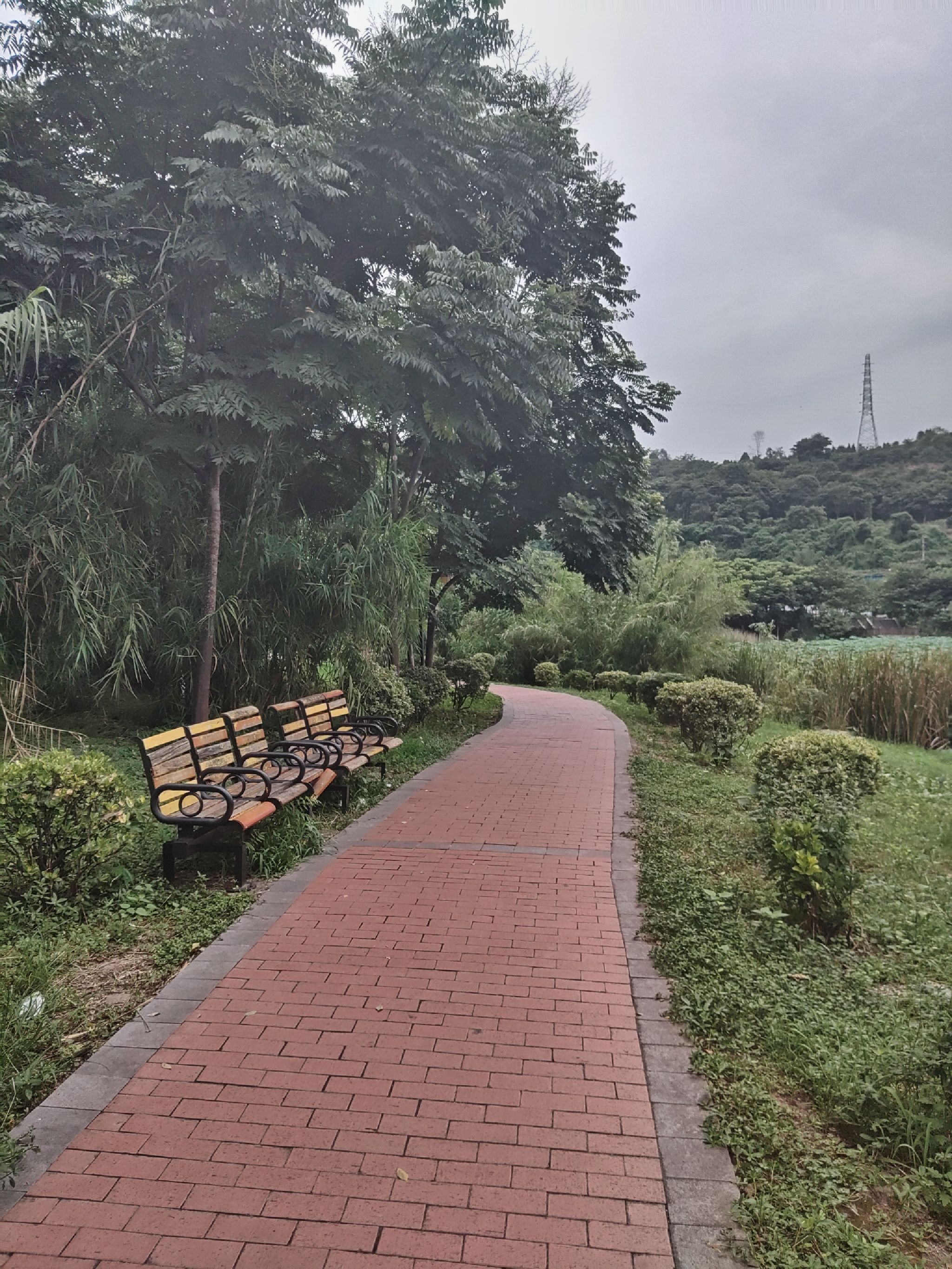 南湖公园-南塔山生态公园旅行图片 1