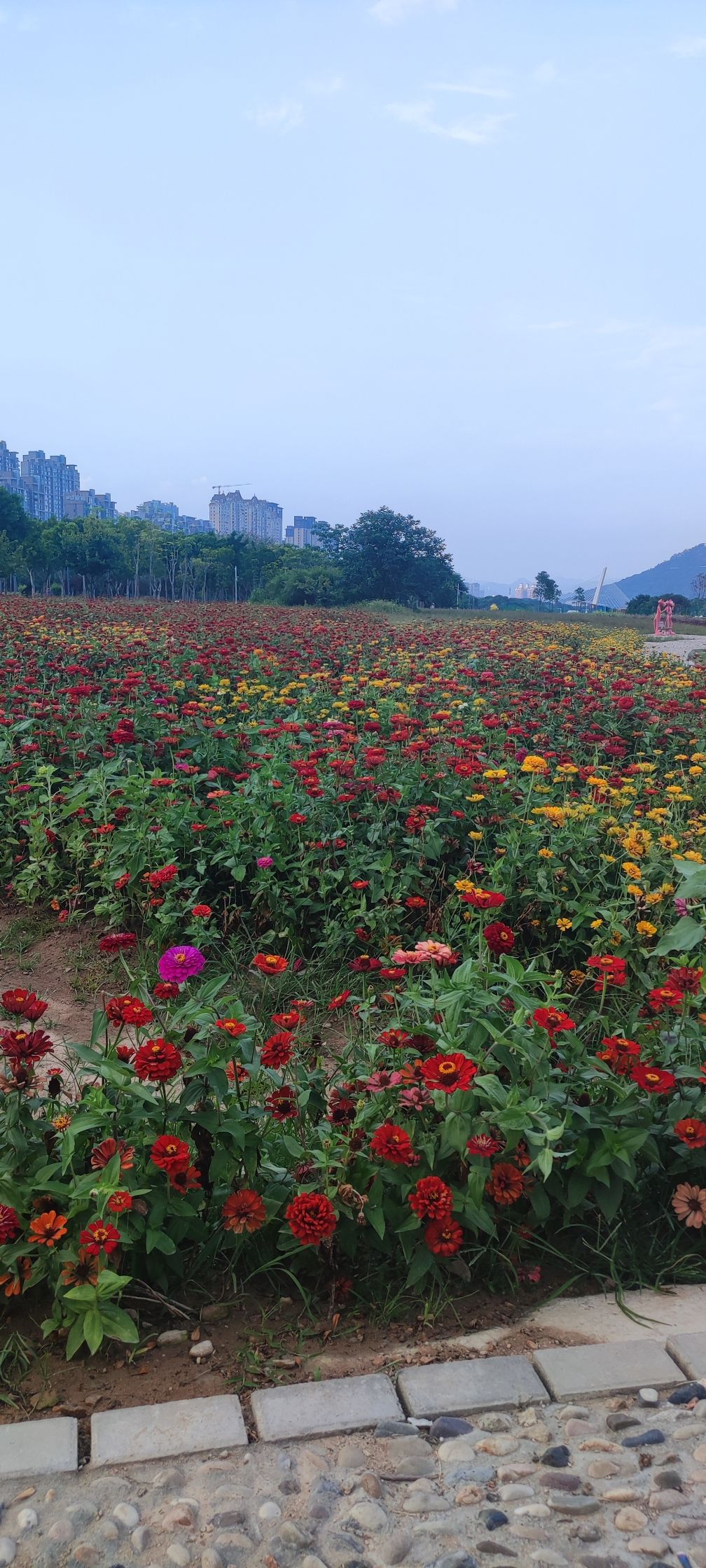 市民休闲公园旅行图片 1