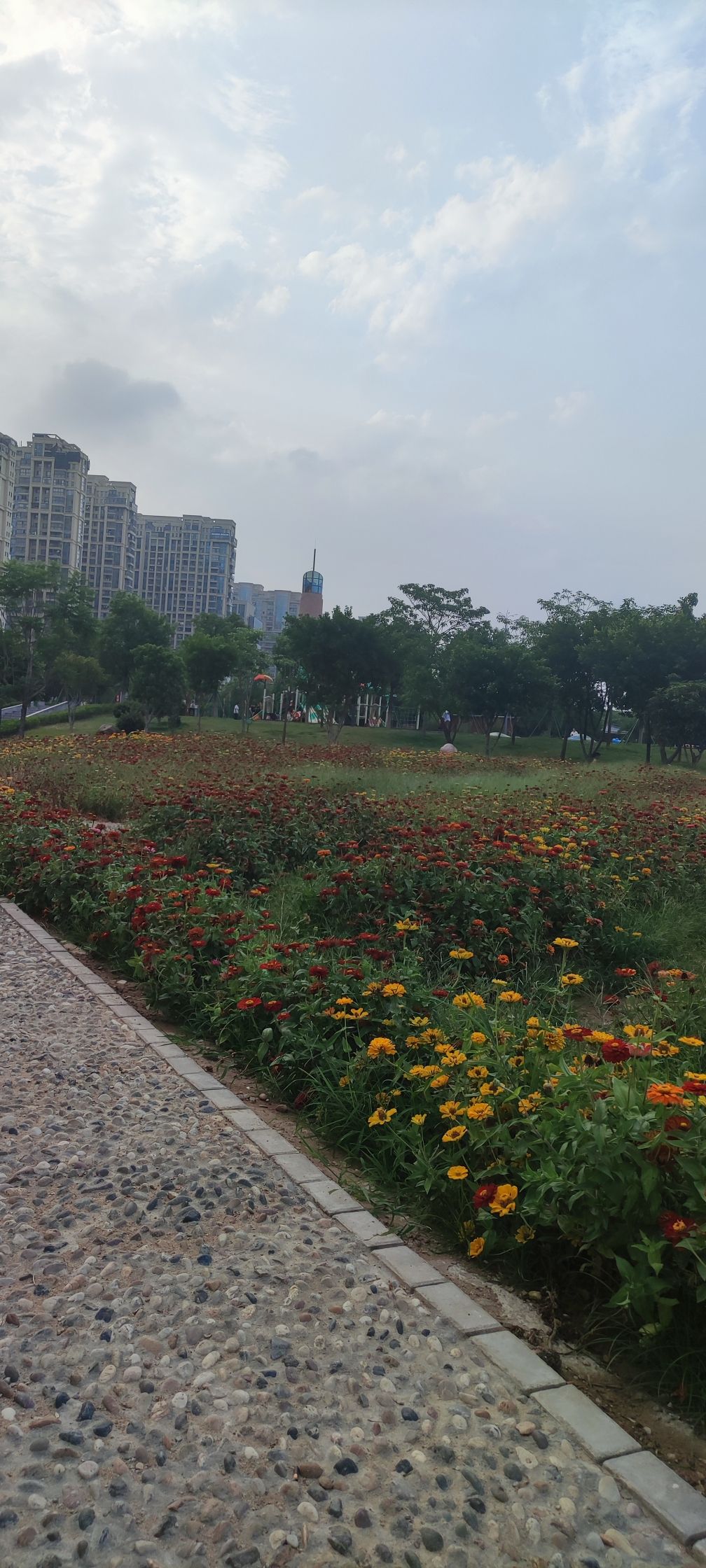 市民休闲公园旅行图片 3