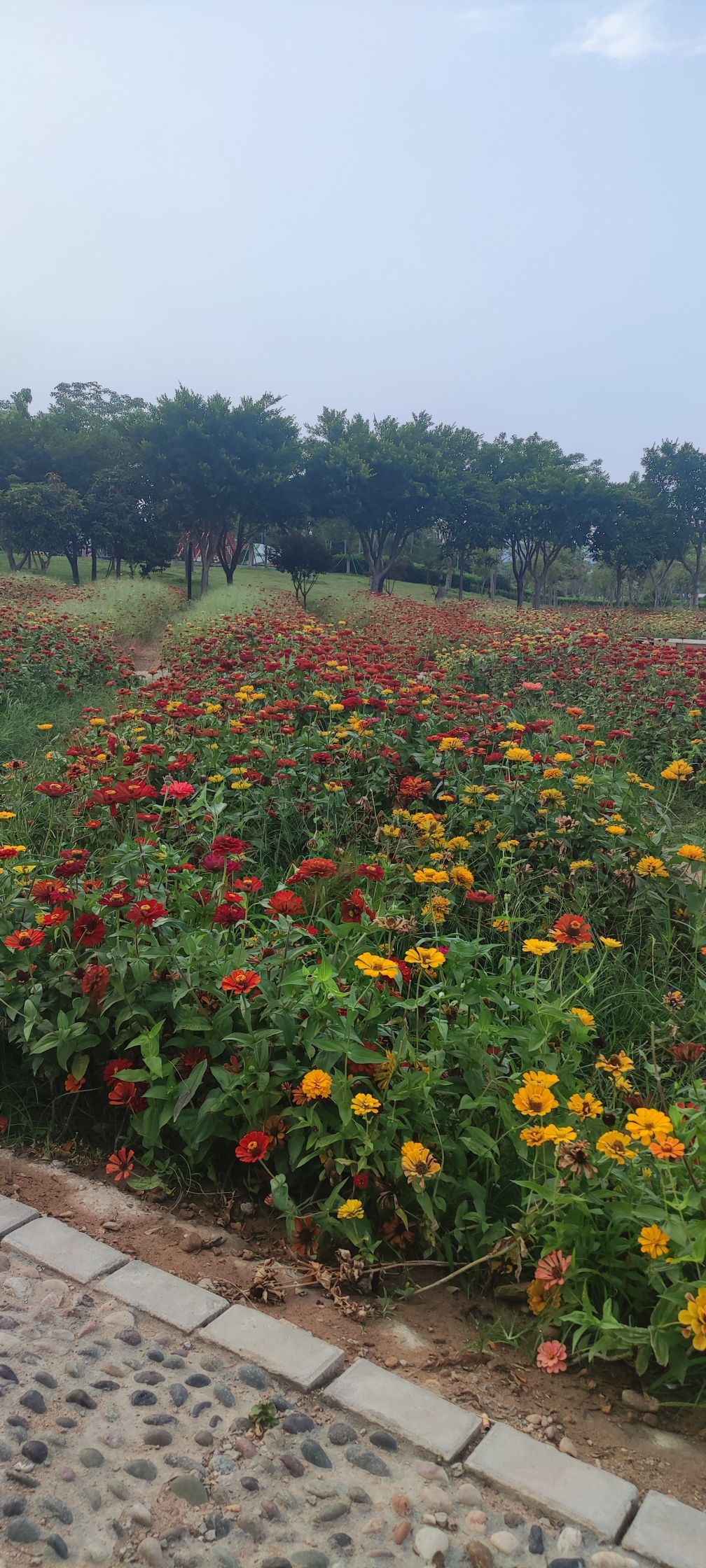 市民休闲公园旅行图片 2
