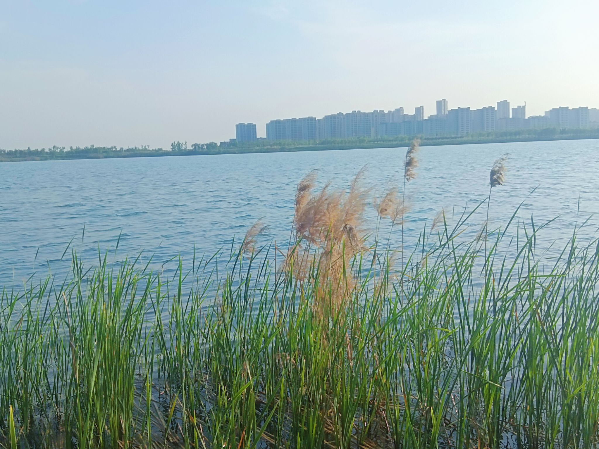 绿金中央公园旅行图片 2