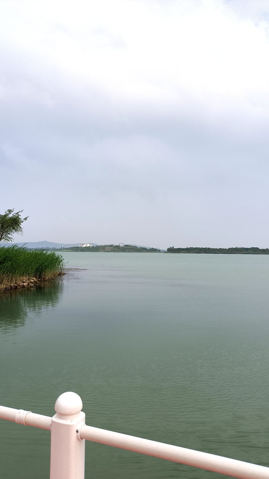 绿金中央公园旅行图片 2