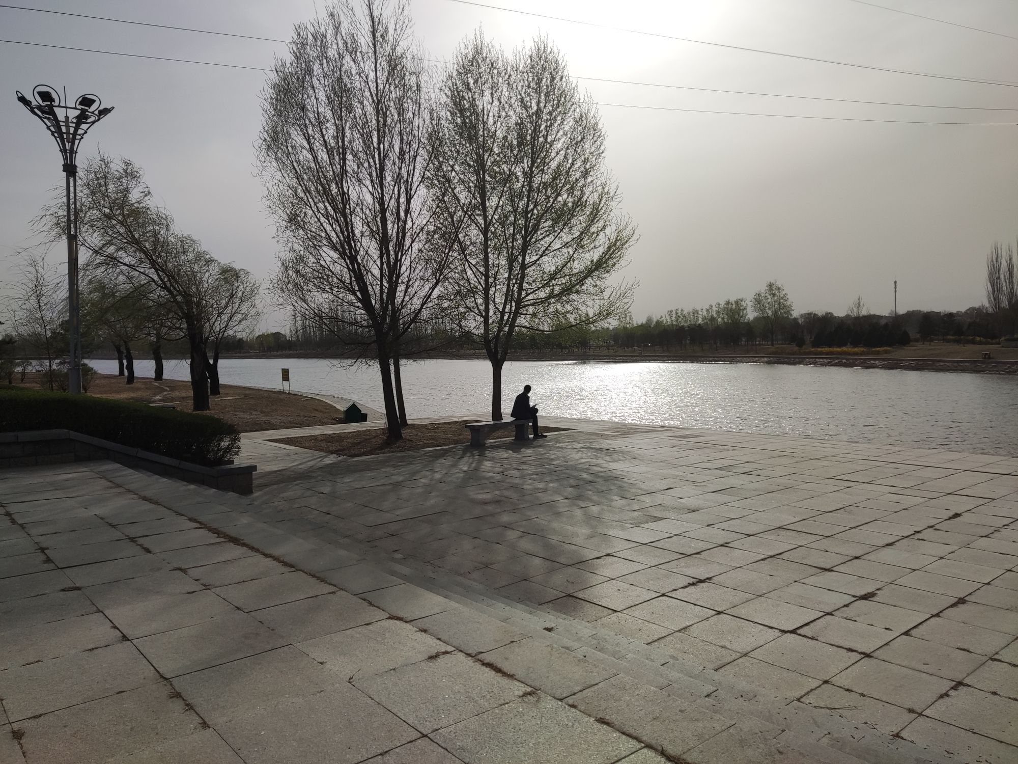 恢河湿地公园旅行图片 2