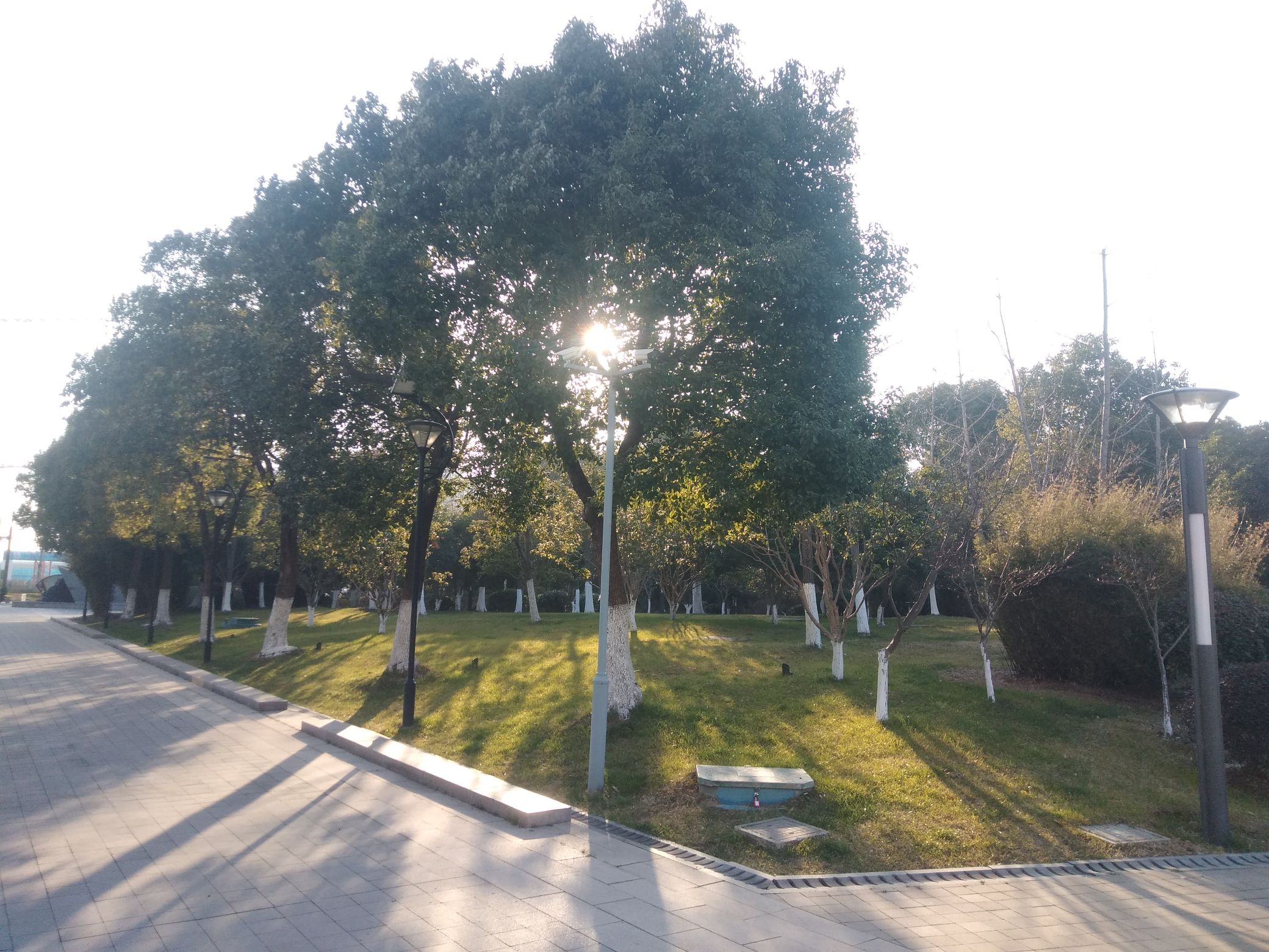 思齐公园旅行图片 2