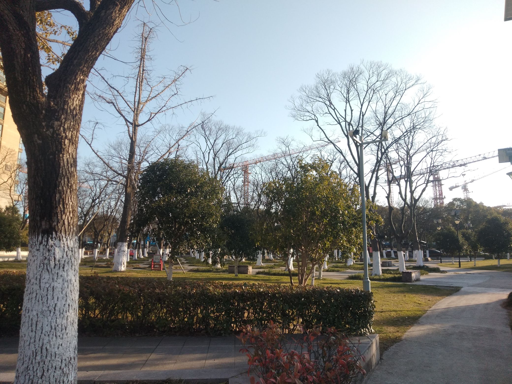 思齐公园旅行图片 3