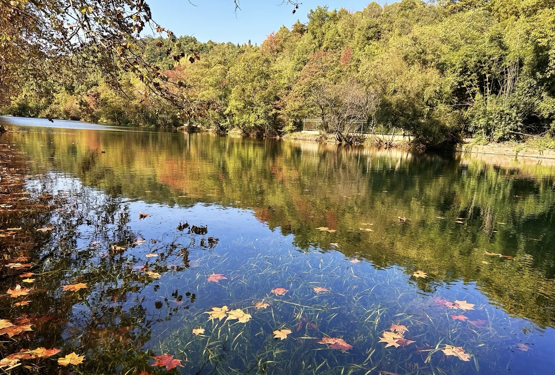 花溪1号公园旅行图片 2