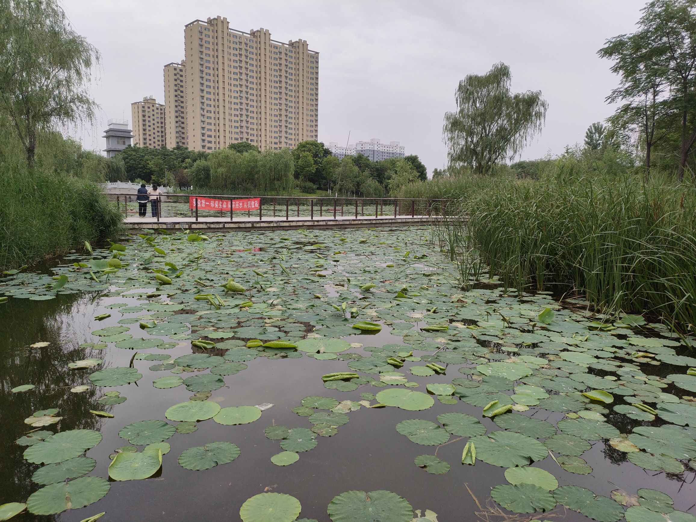 历山公园旅行图片 3