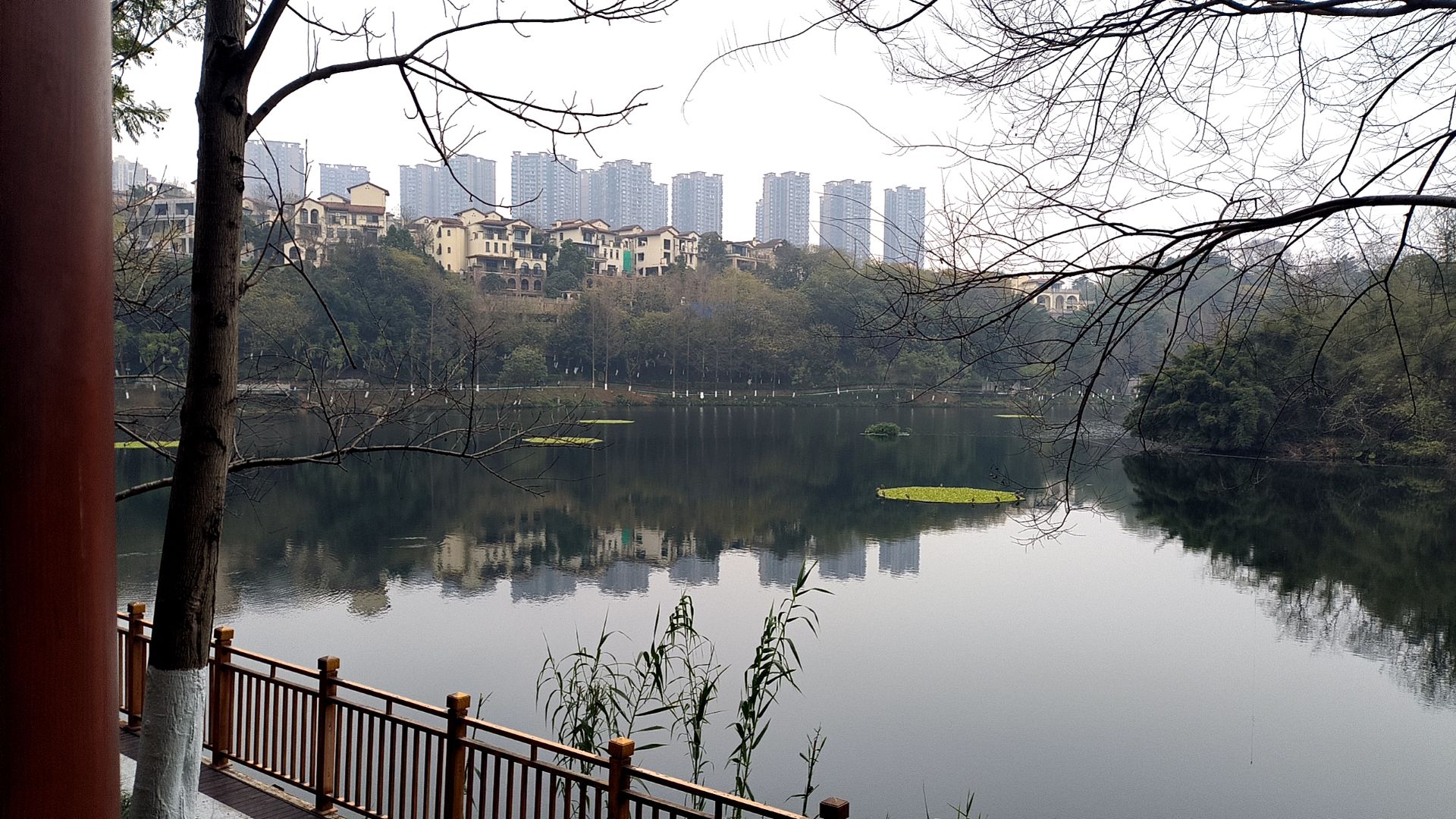 重庆彩云湖湿地公园-北门人行门旅行图片 3