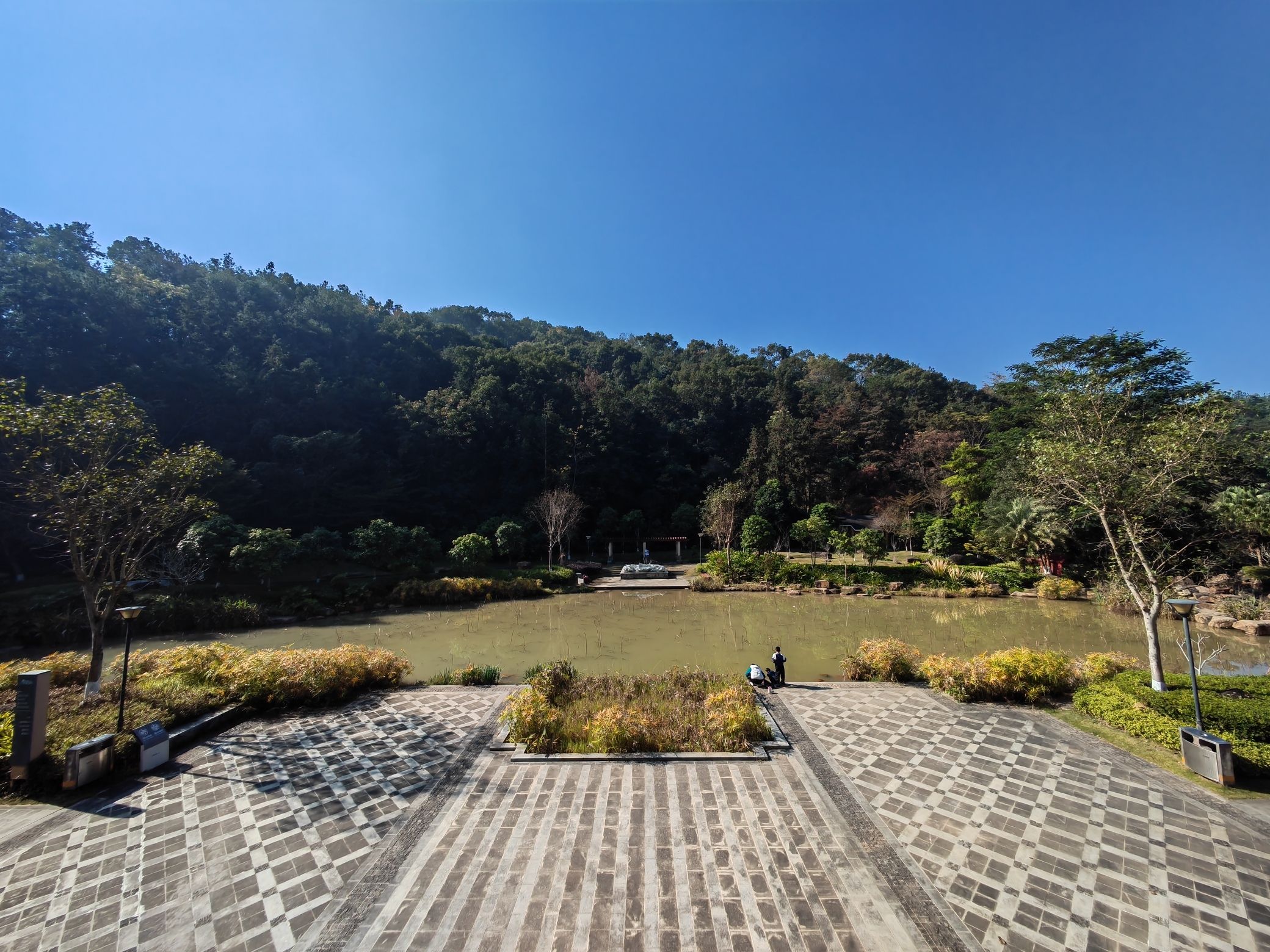 神光山一号湿地公园旅行图片 2