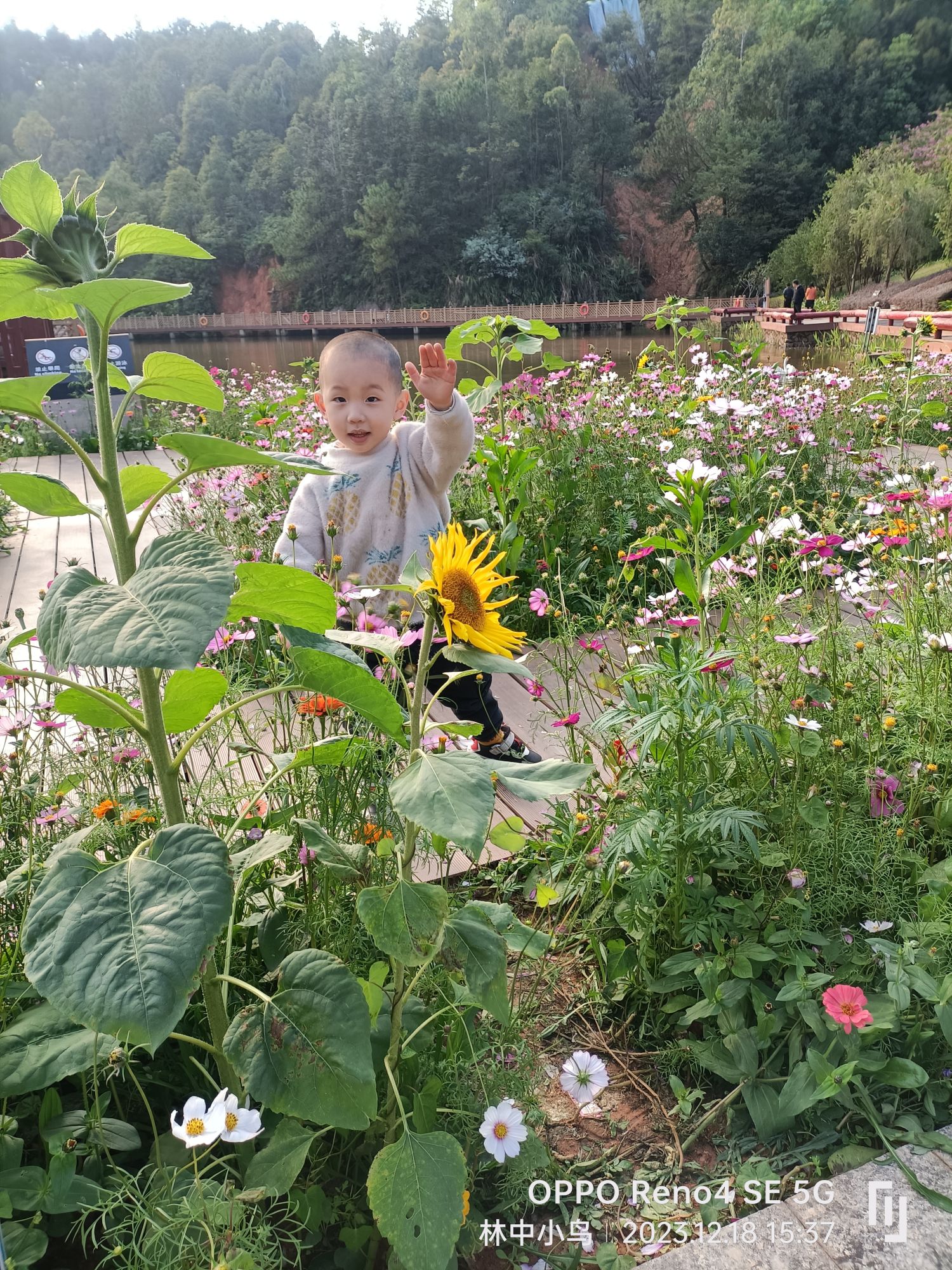 神光山一号湿地公园旅行图片 1