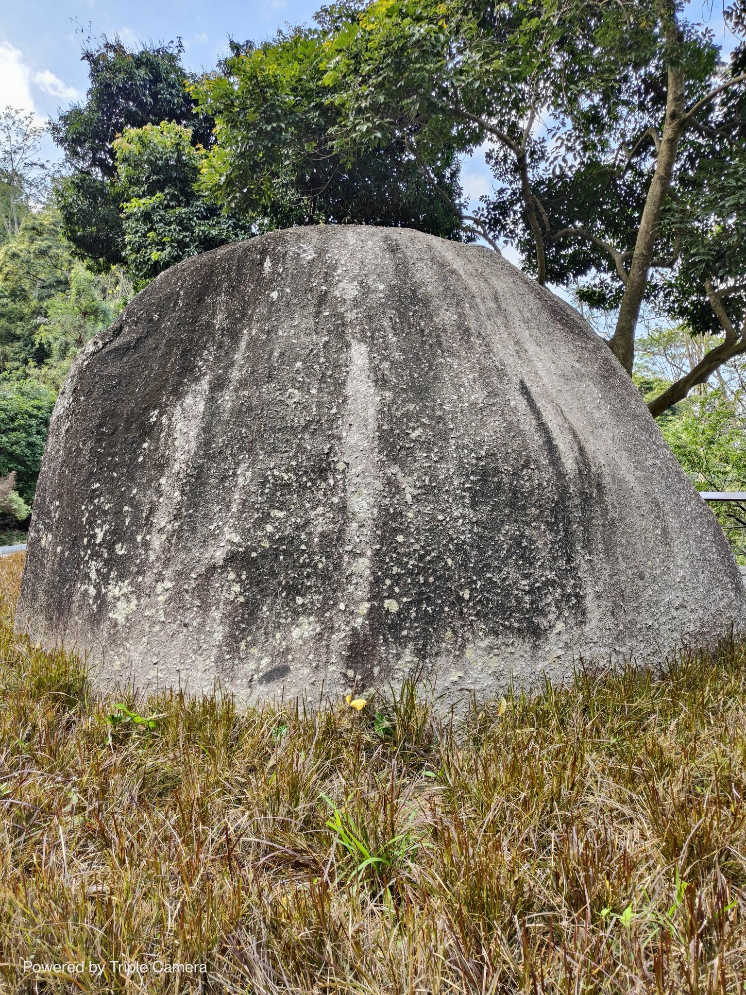 阳台山森林公园-卧龙遗蛋