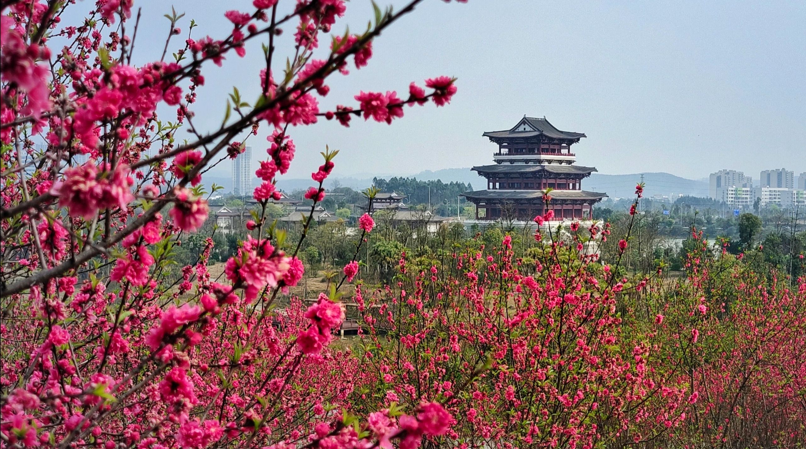 北部生态新区湿地公园旅行图片 2