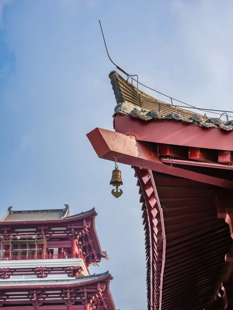 北部生态新区湿地公园旅行图片 3