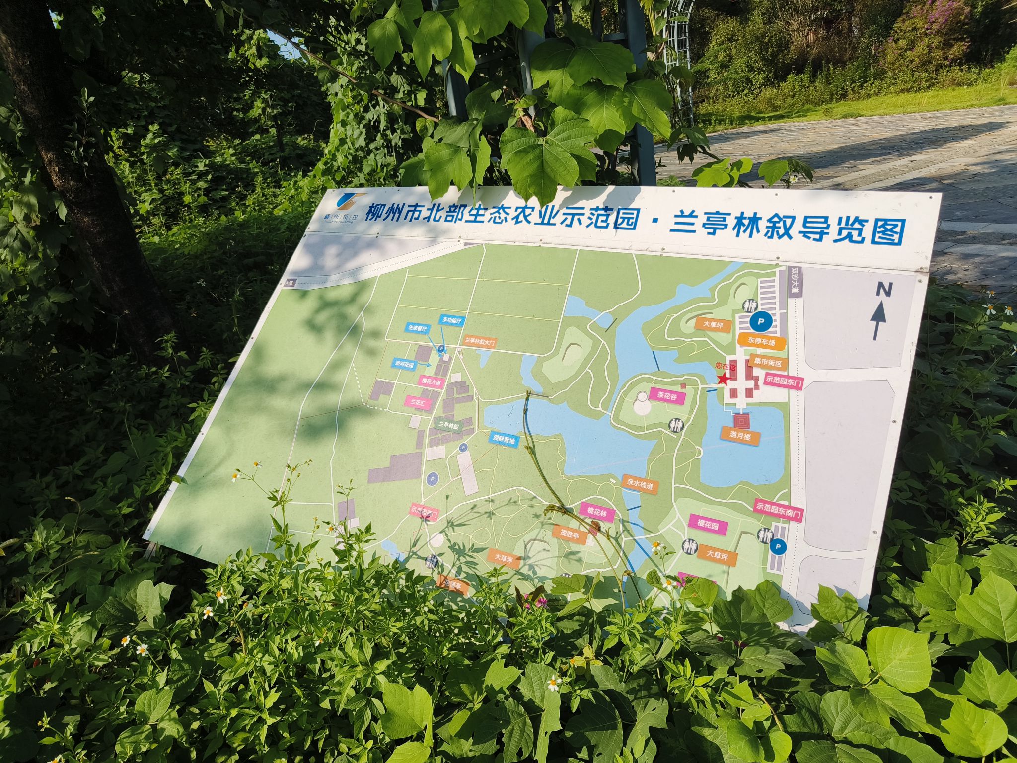 北部生态新区湿地公园旅行图片 3