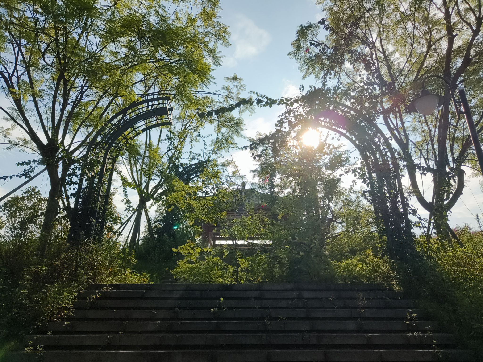 北部生态新区湿地公园旅行图片 1