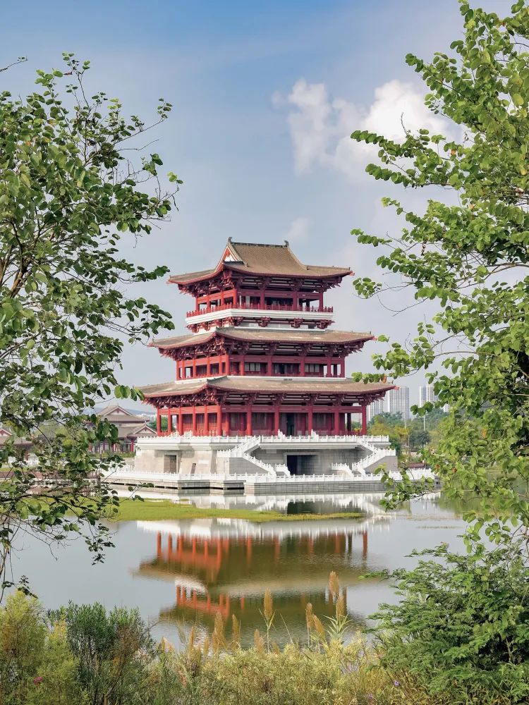 北部生态新区湿地公园旅行图片 2