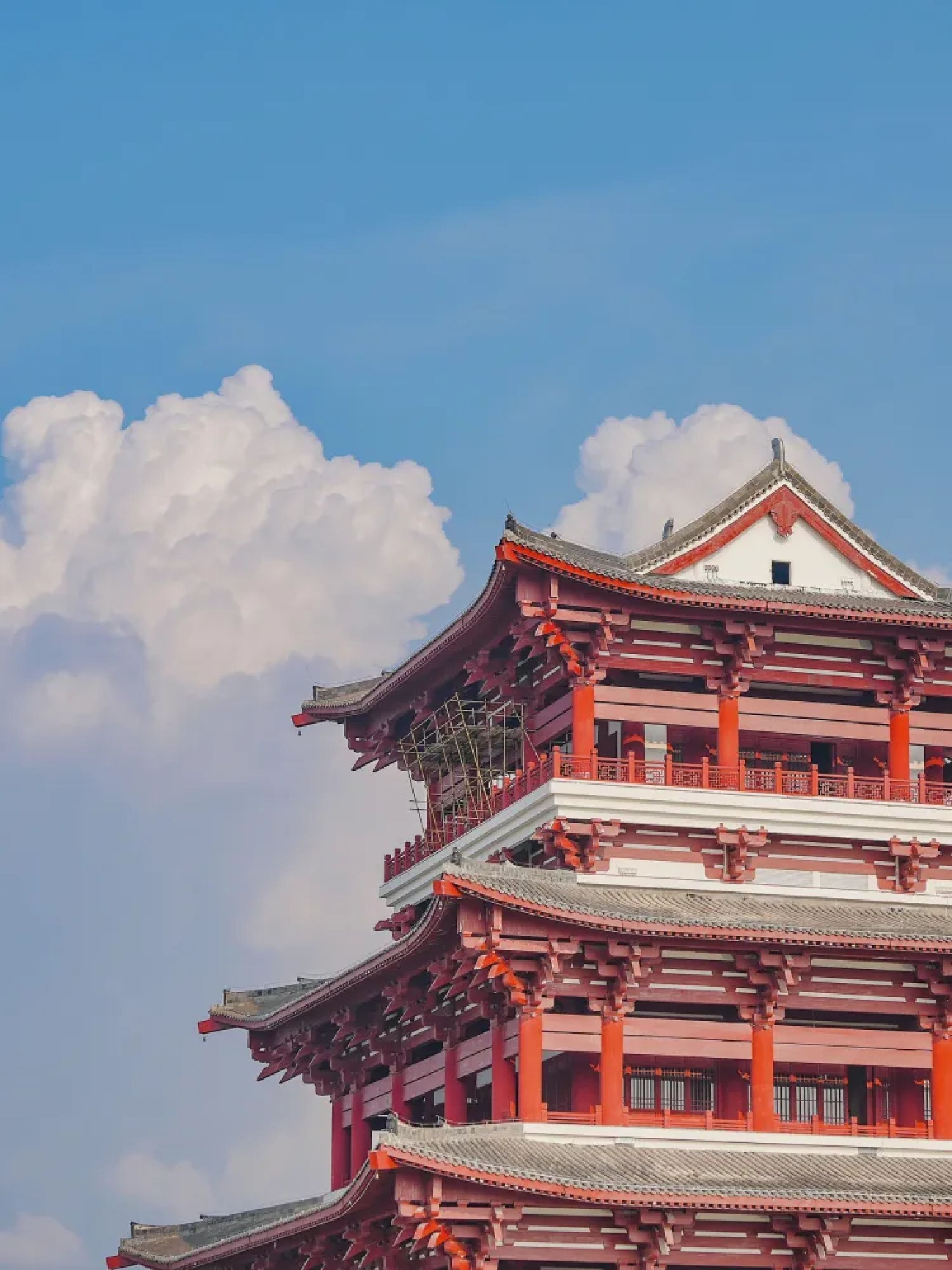 北部生态新区湿地公园旅行图片 1