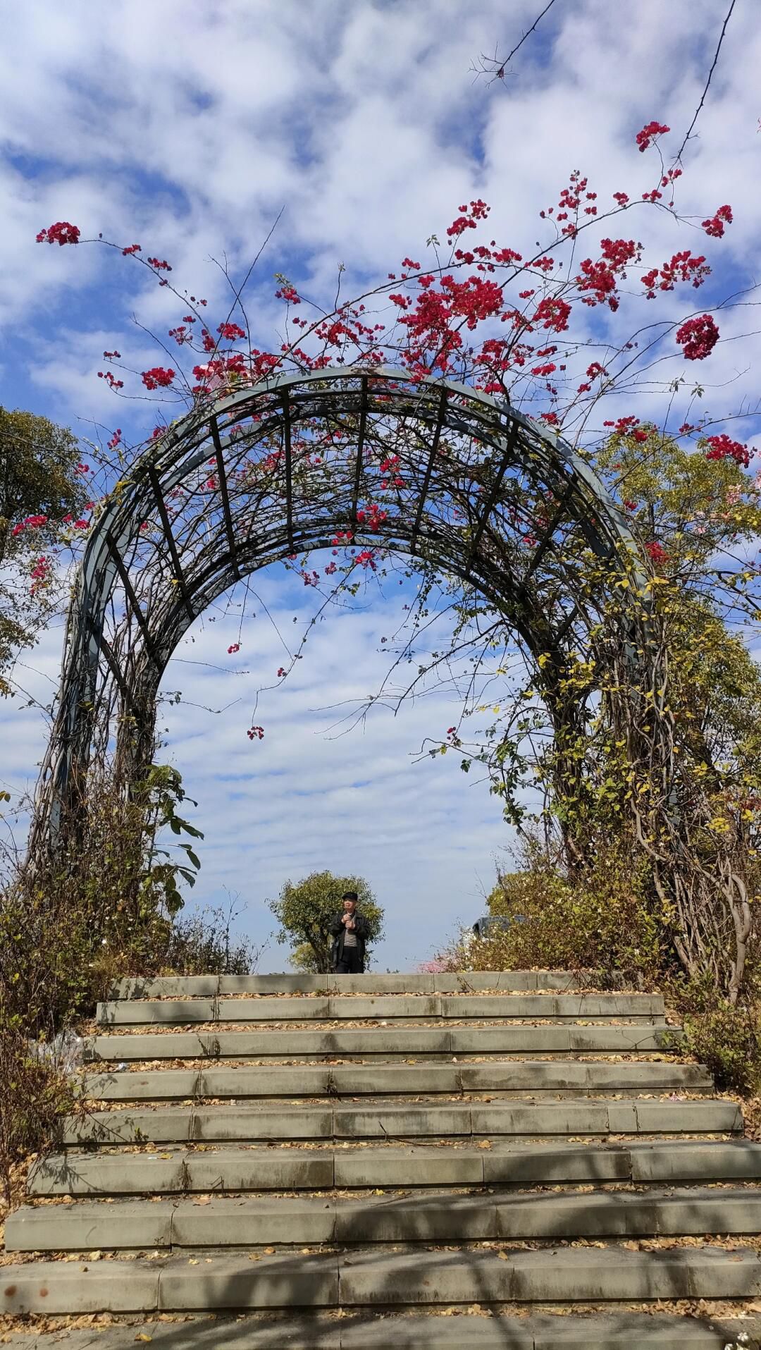 北部生态新区湿地公园旅行图片 2
