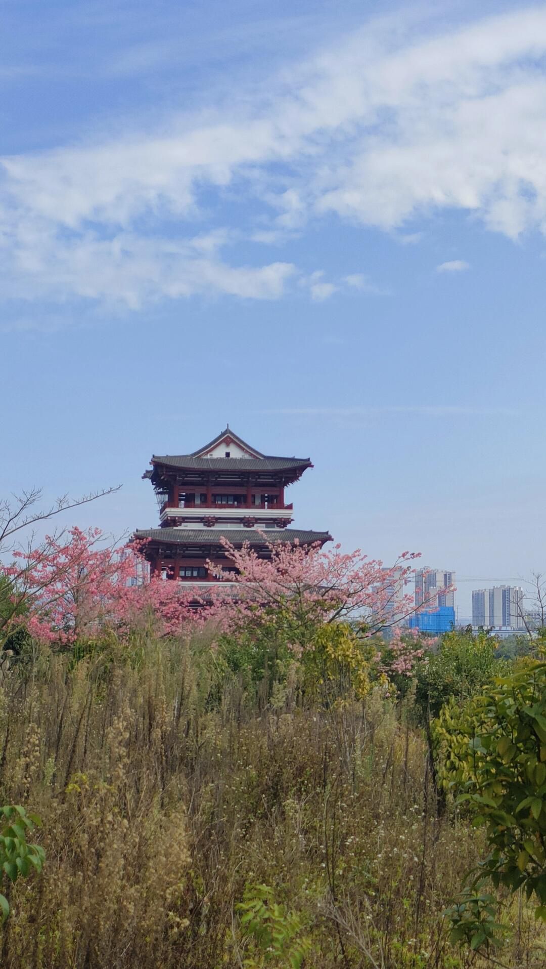 北部生态新区湿地公园旅行图片 3