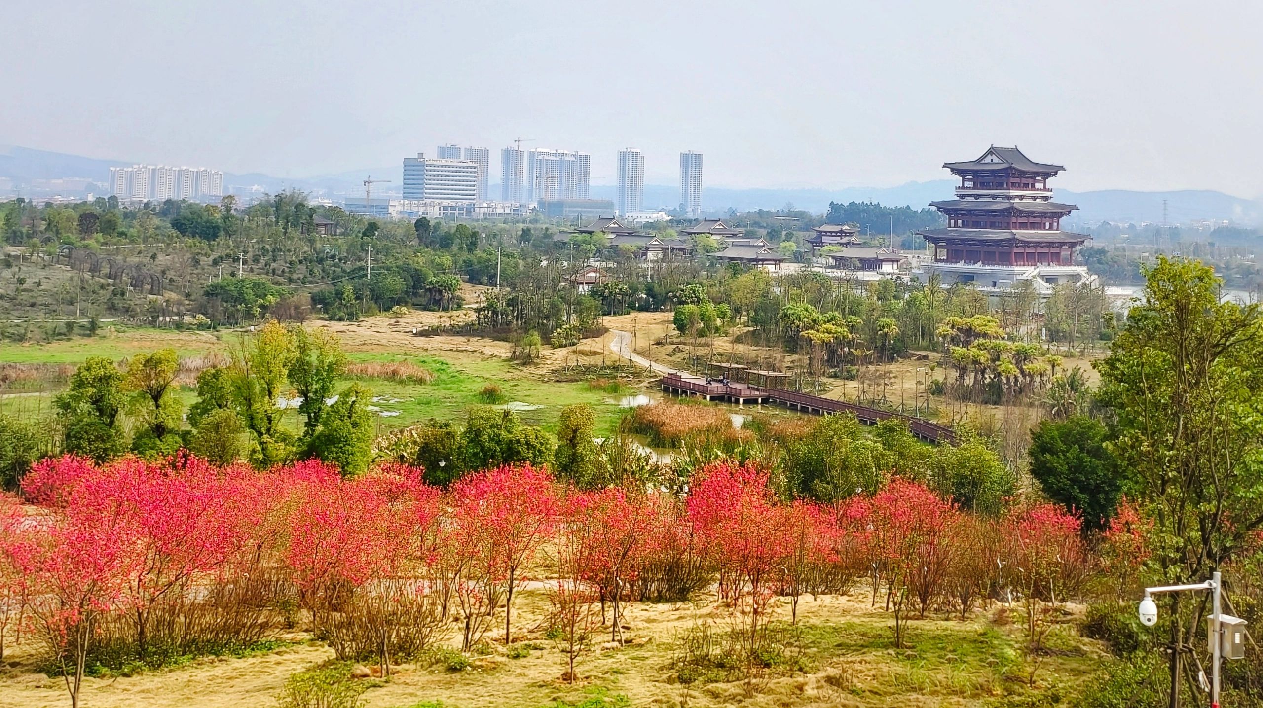 北部生态新区湿地公园旅行图片 1