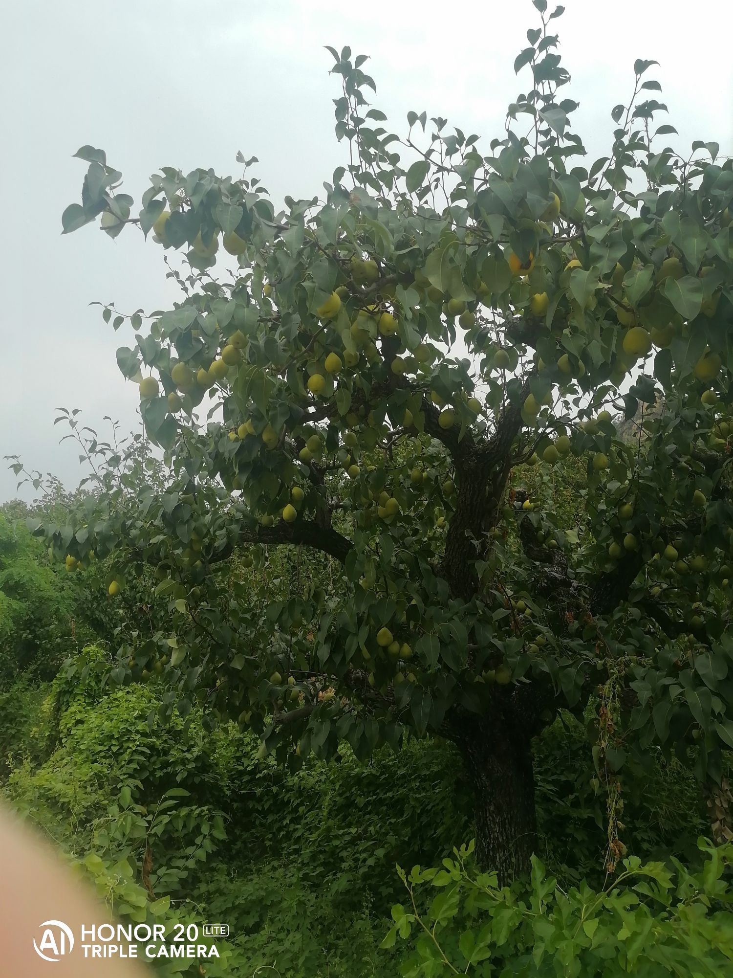 泗水龙门山省级地质公园旅行图片 1
