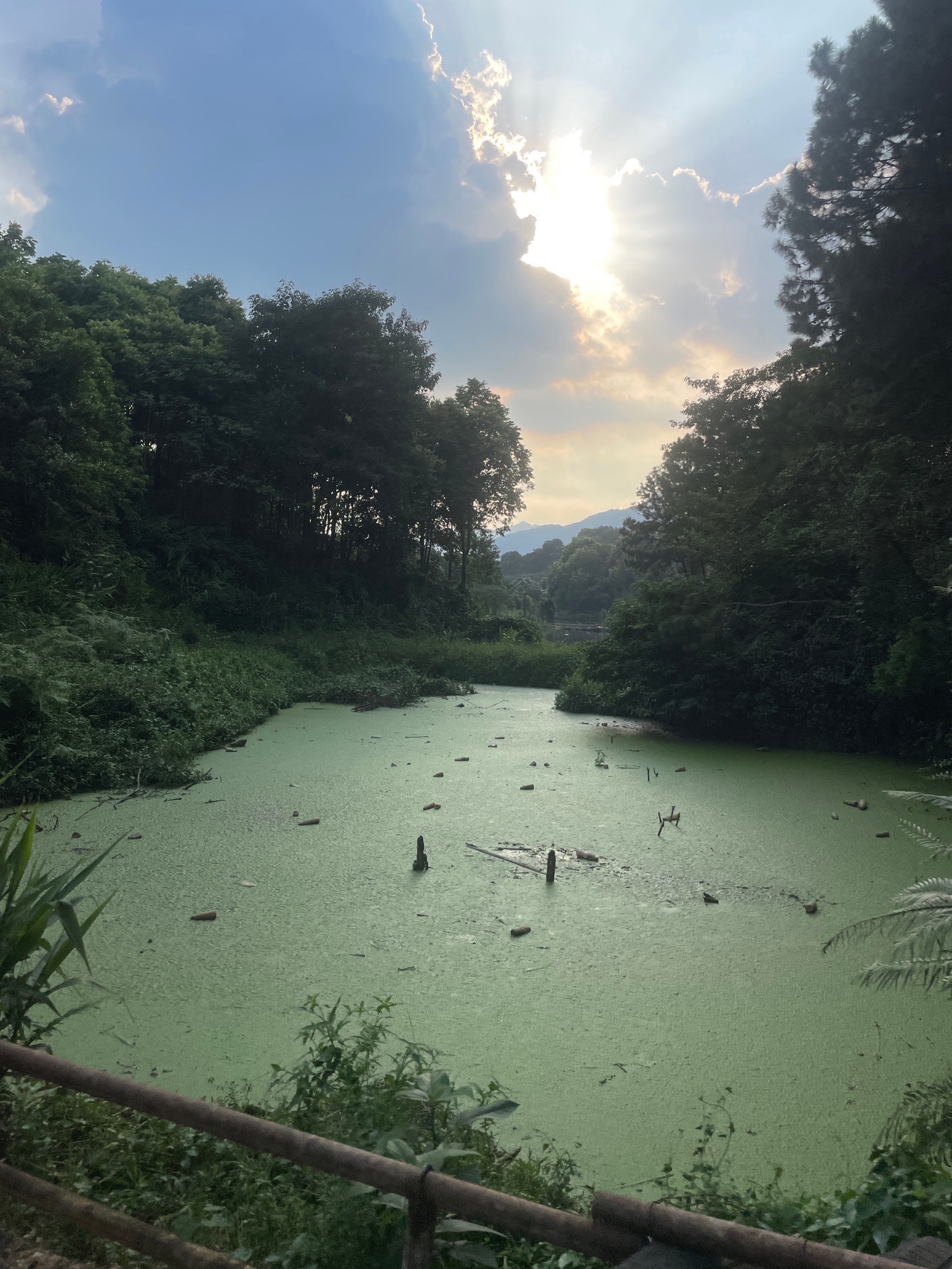 清远静山湖景区旅行图片 2