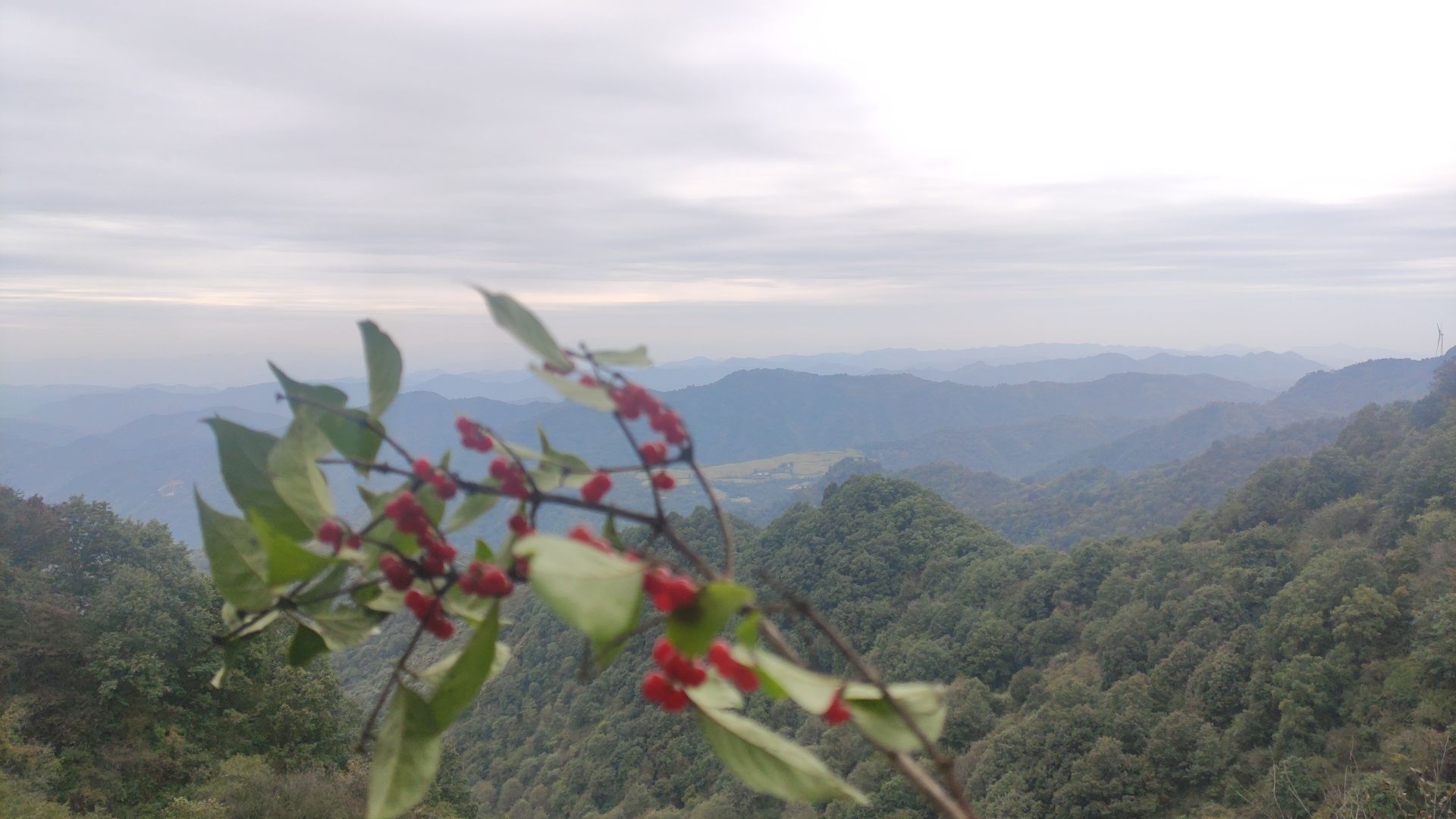 冠云山大明广场旅行图片 2