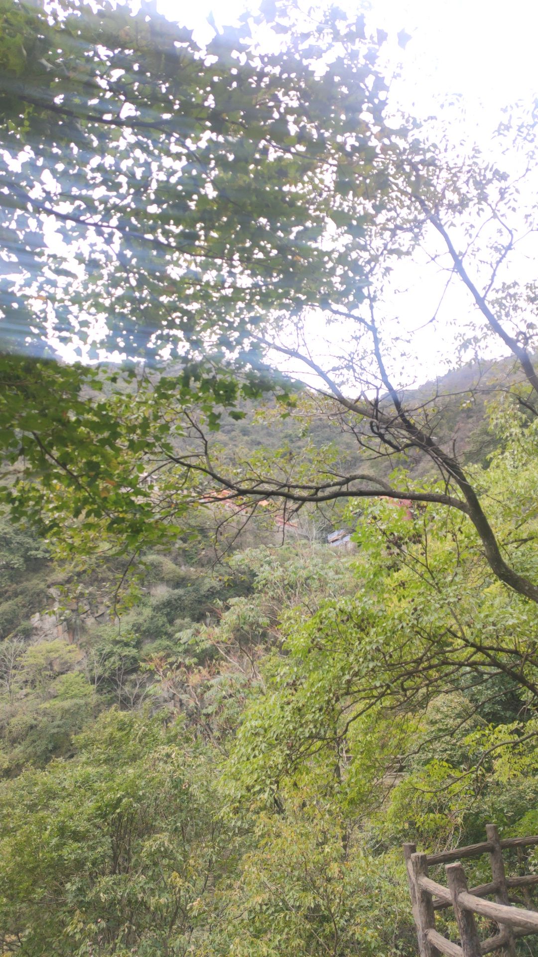 冠云山大明广场旅行图片 3