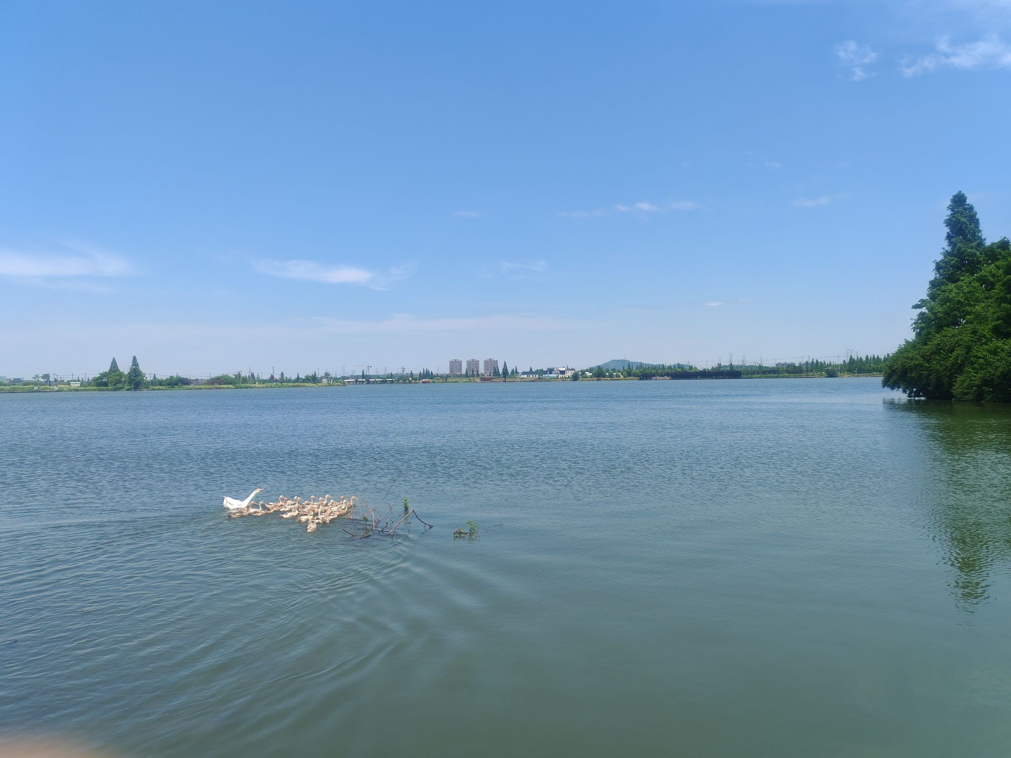 浙江绍兴鉴湖国家湿地公园旅行图片 2