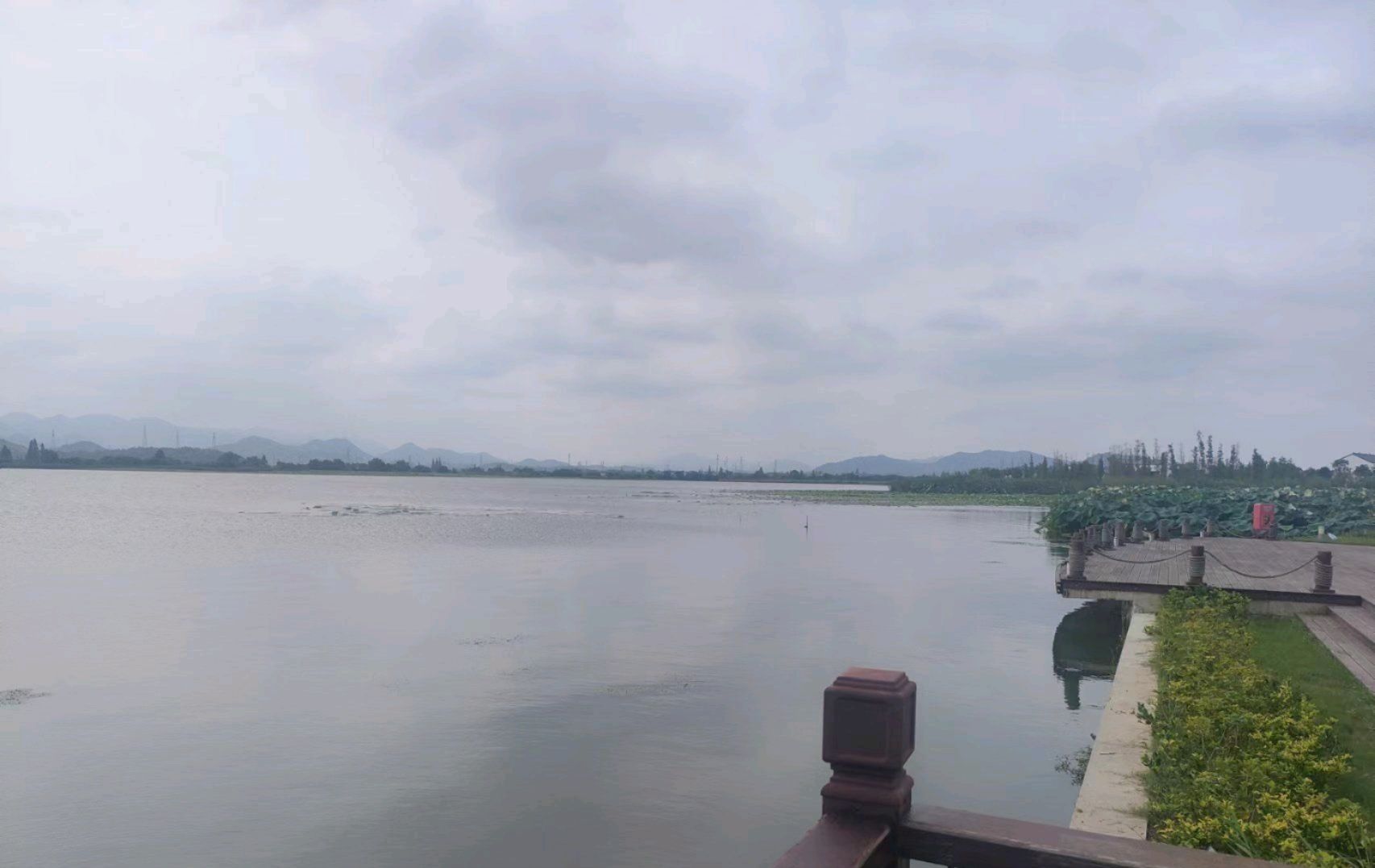 浙江绍兴鉴湖国家湿地公园旅行图片 3