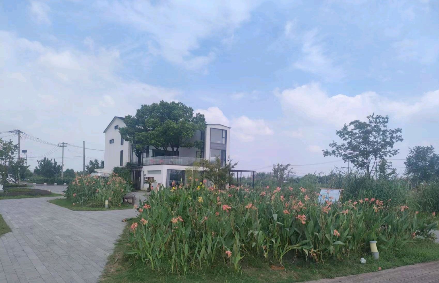 浙江绍兴鉴湖国家湿地公园旅行图片 2