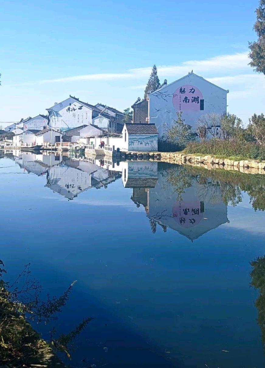 浙江绍兴鉴湖国家湿地公园旅行图片 2