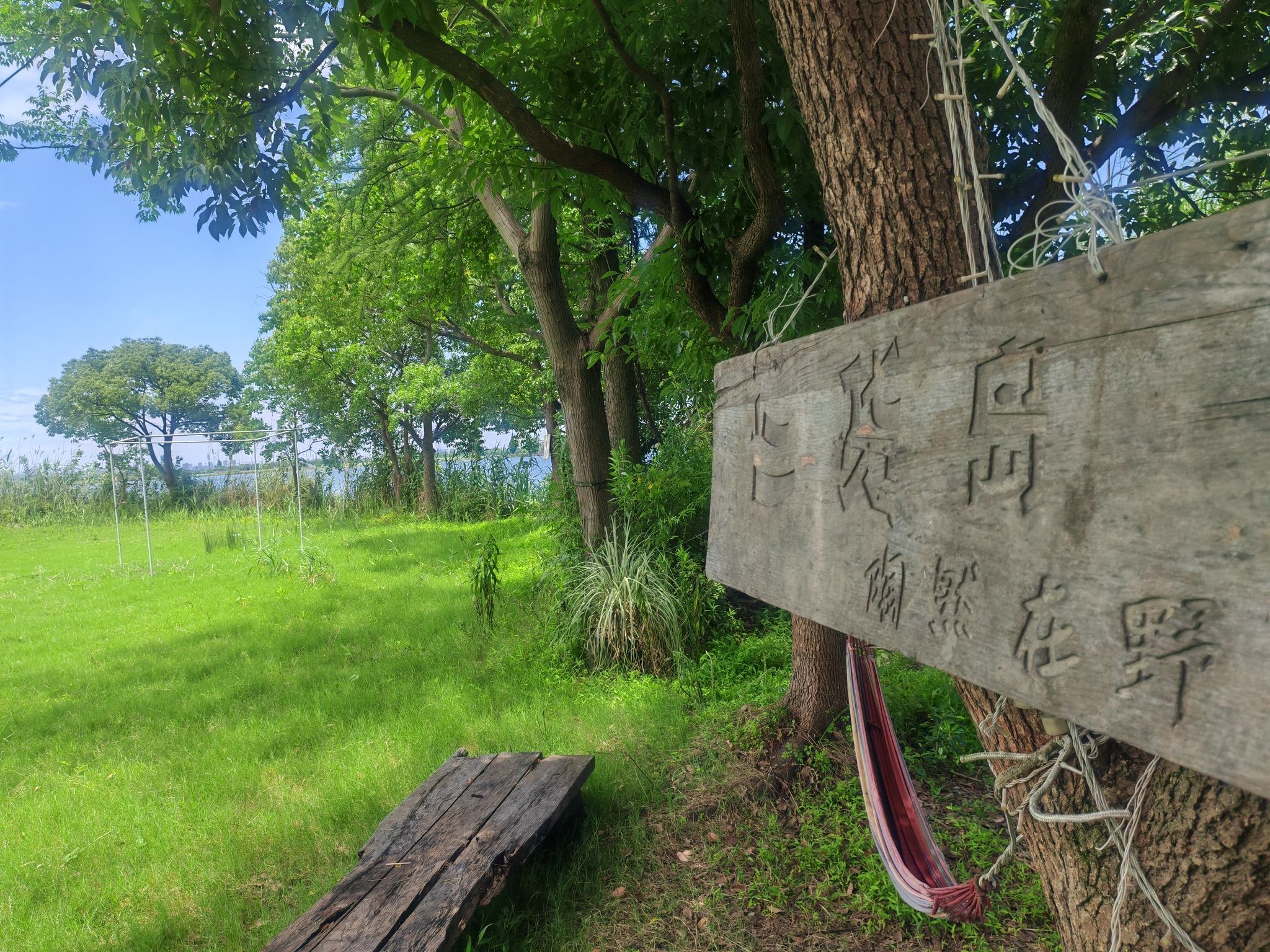 浙江绍兴鉴湖国家湿地公园旅行图片 1