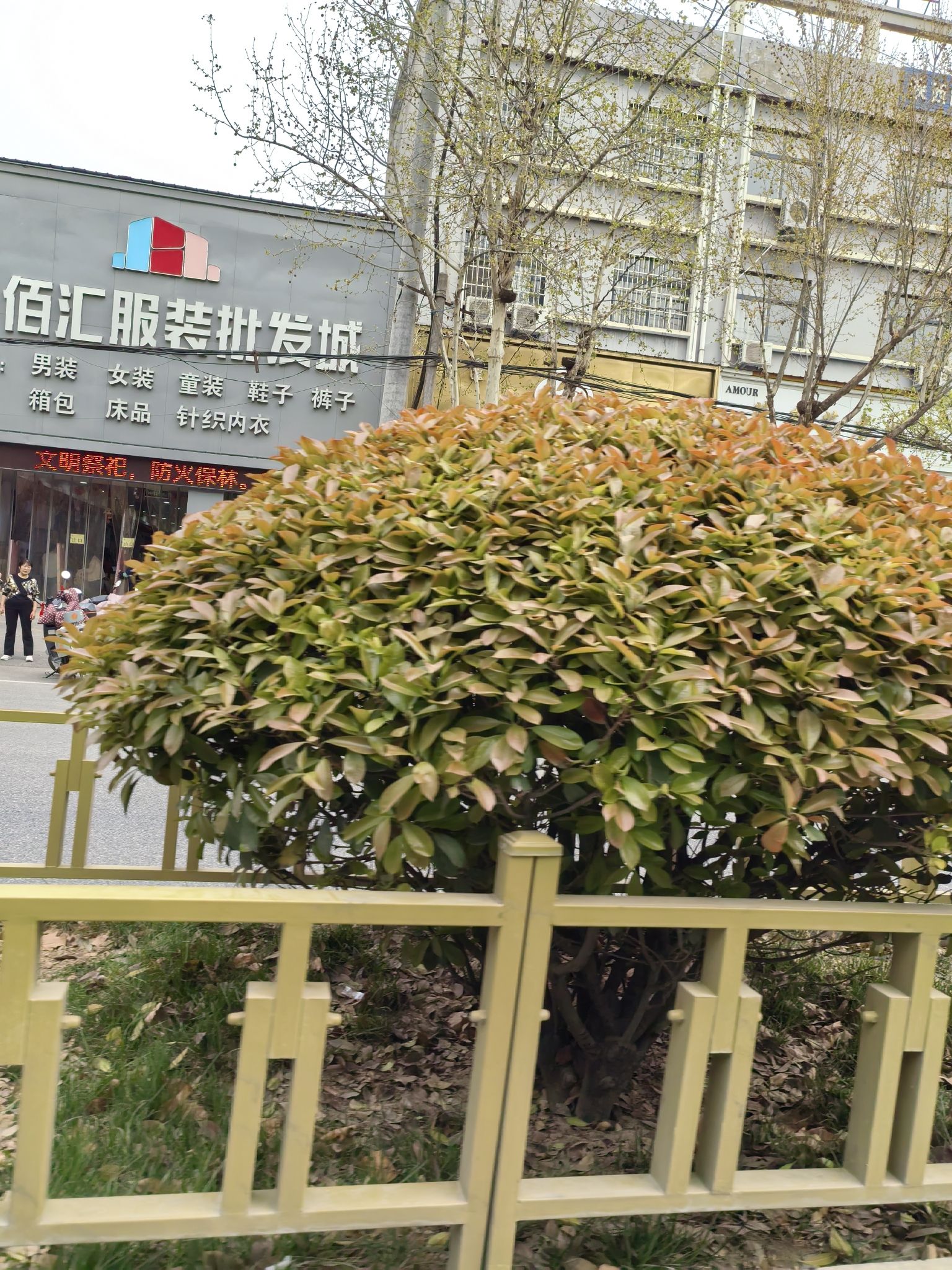 佳佰汇服装批发城